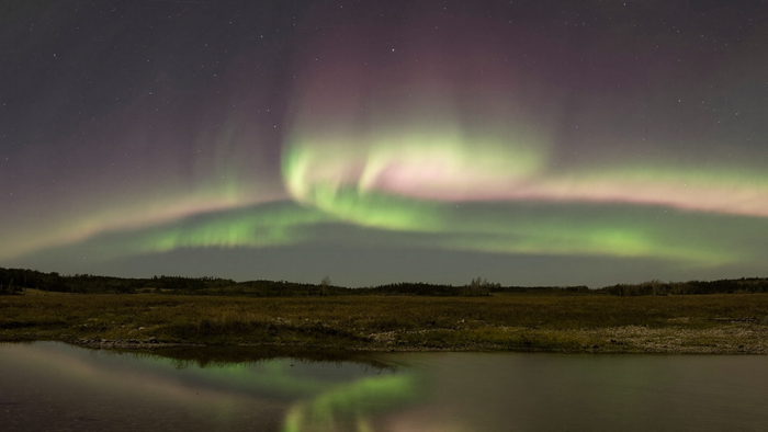 Grünlich-violettes Polarlicht über einer flachen nördlichen Landschaft mit dunkler Baumreihe und spiegelndem Wasser