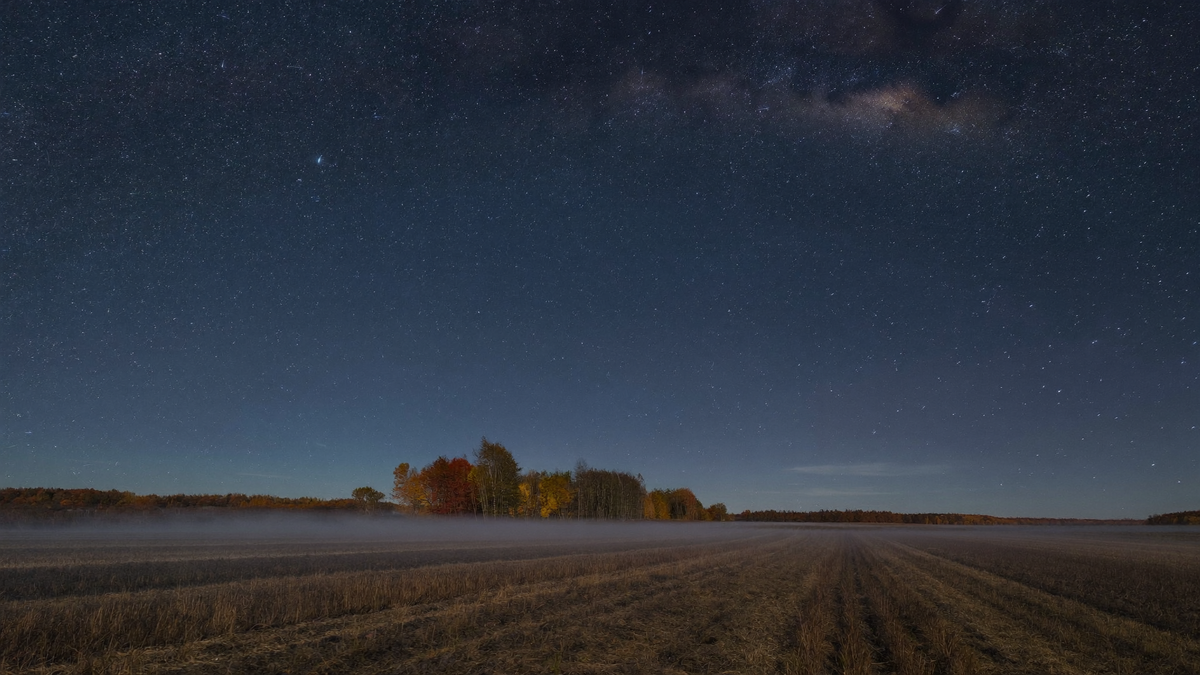 Klarer Sternenhimmel mit schwacher Milchstraße über einem abgeernteten Stoppelfeld mit Bodennebel und herbstlich gefärbten Bäumen am Horizont
