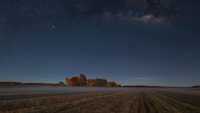 Klarer Sternenhimmel mit schwacher Milchstraße über einem abgeernteten Stoppelfeld mit Bodennebel und herbstlich gefärbten Bäumen am Horizont