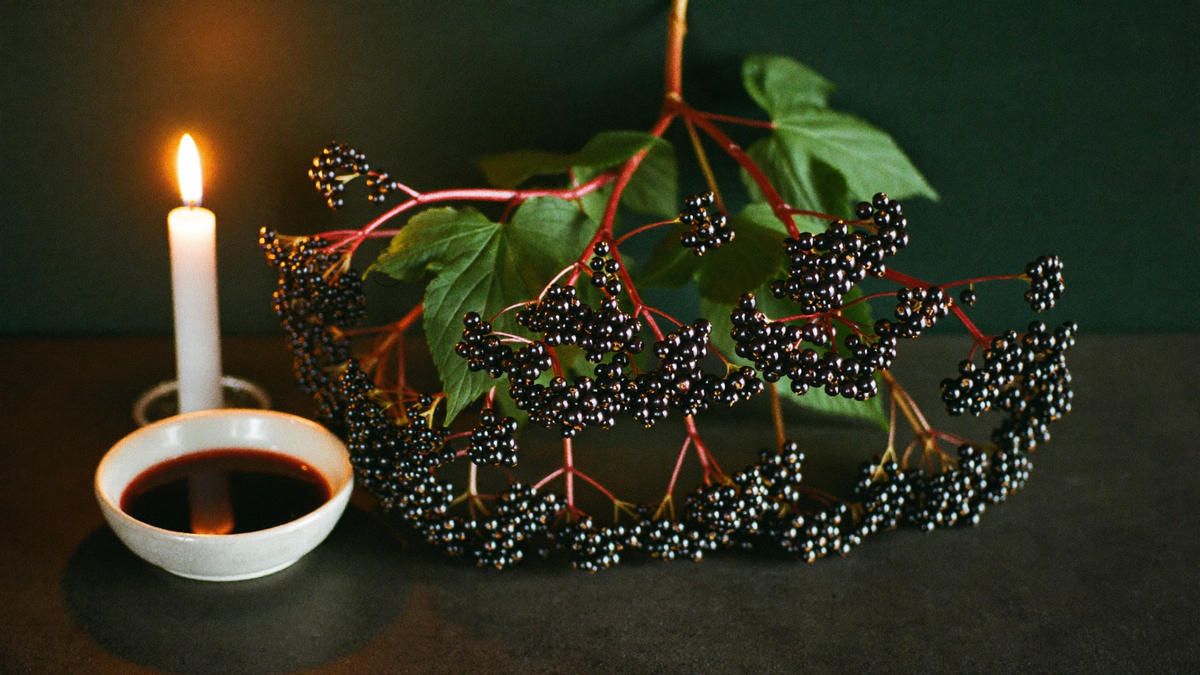 Dolden mit reifen schwarzen Holunderbeeren neben einer Schale dunkelrotem Holundersaft im Kerzenlicht vor dunkelgrüner Wand