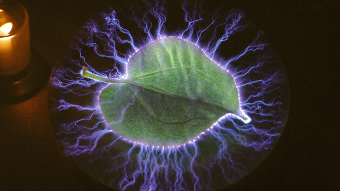 Grünes Blatt auf einer Glasplatte, rundum von violett-blauer Koronaentladung mit feinen Leuchtfäden umgeben, wie eine Kirlian-Fotografie, links eine Kerze