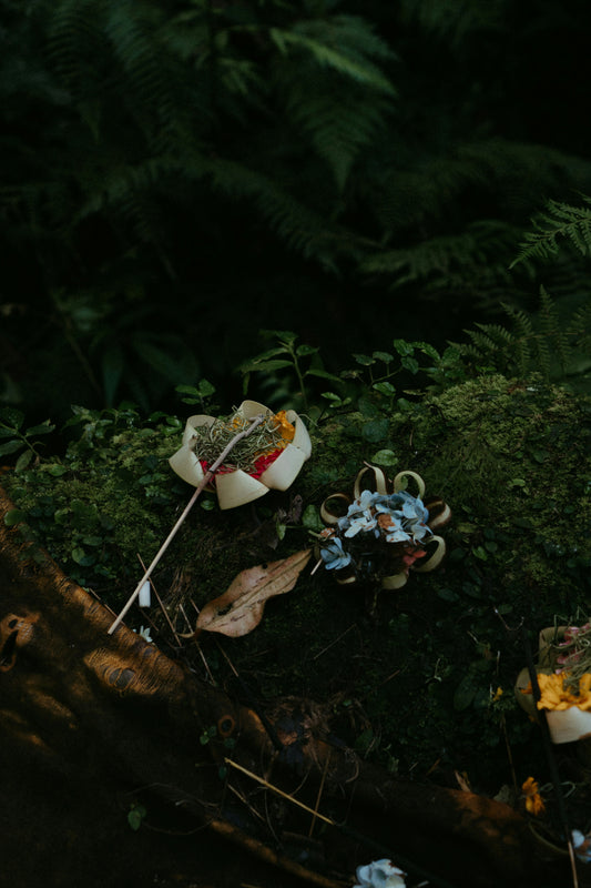 Naturgeister & Elementarwesen: Spirituelle Reise