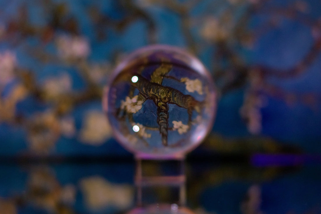 Eine Reise durch die Sphären: Elementare & planetarische Reiche