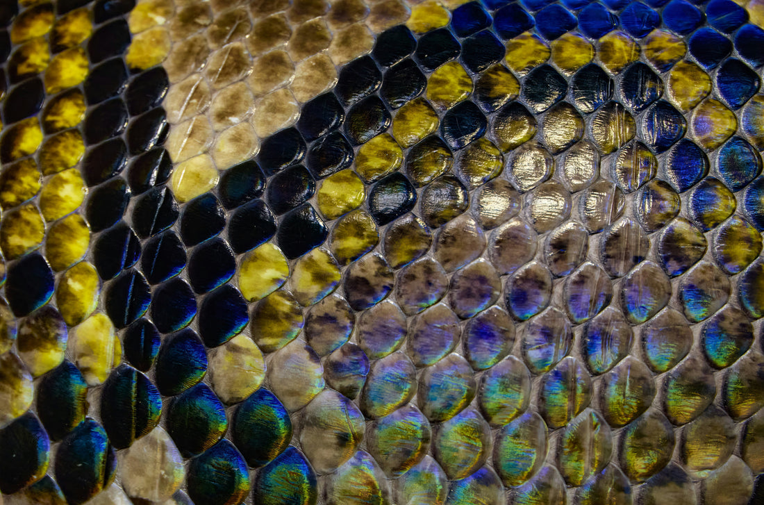 Schamanische Visionen: Begegnungen mit der molekularen Welt?