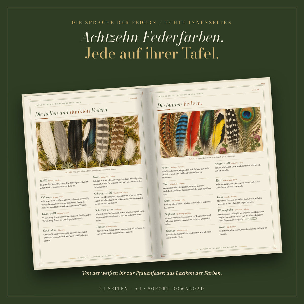 Echte Innenseiten: das Lexikon der Federfarben mit zwei Federtafeln