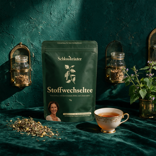 Stoffwechseltee – aufgebrühte Tasse Kräutertee