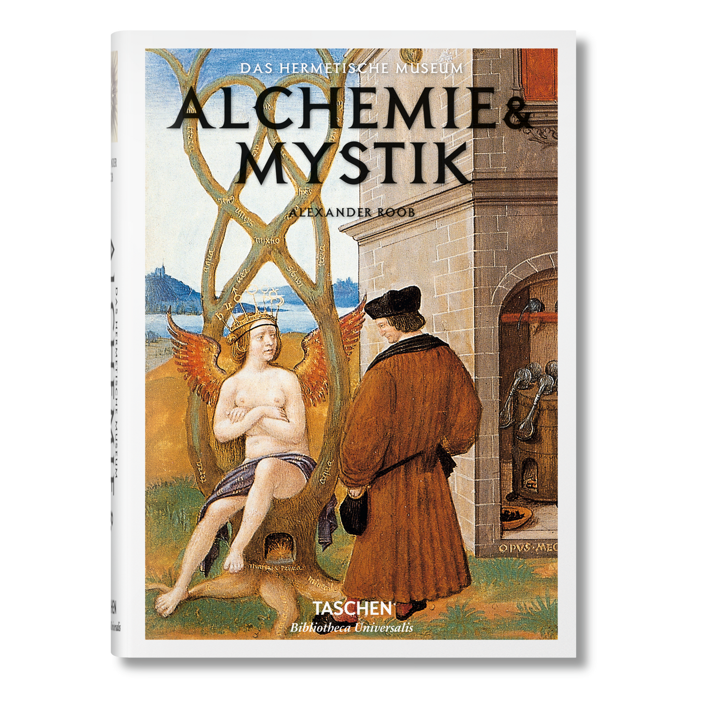 Buchcover Alchemie & Mystik von TASCHEN