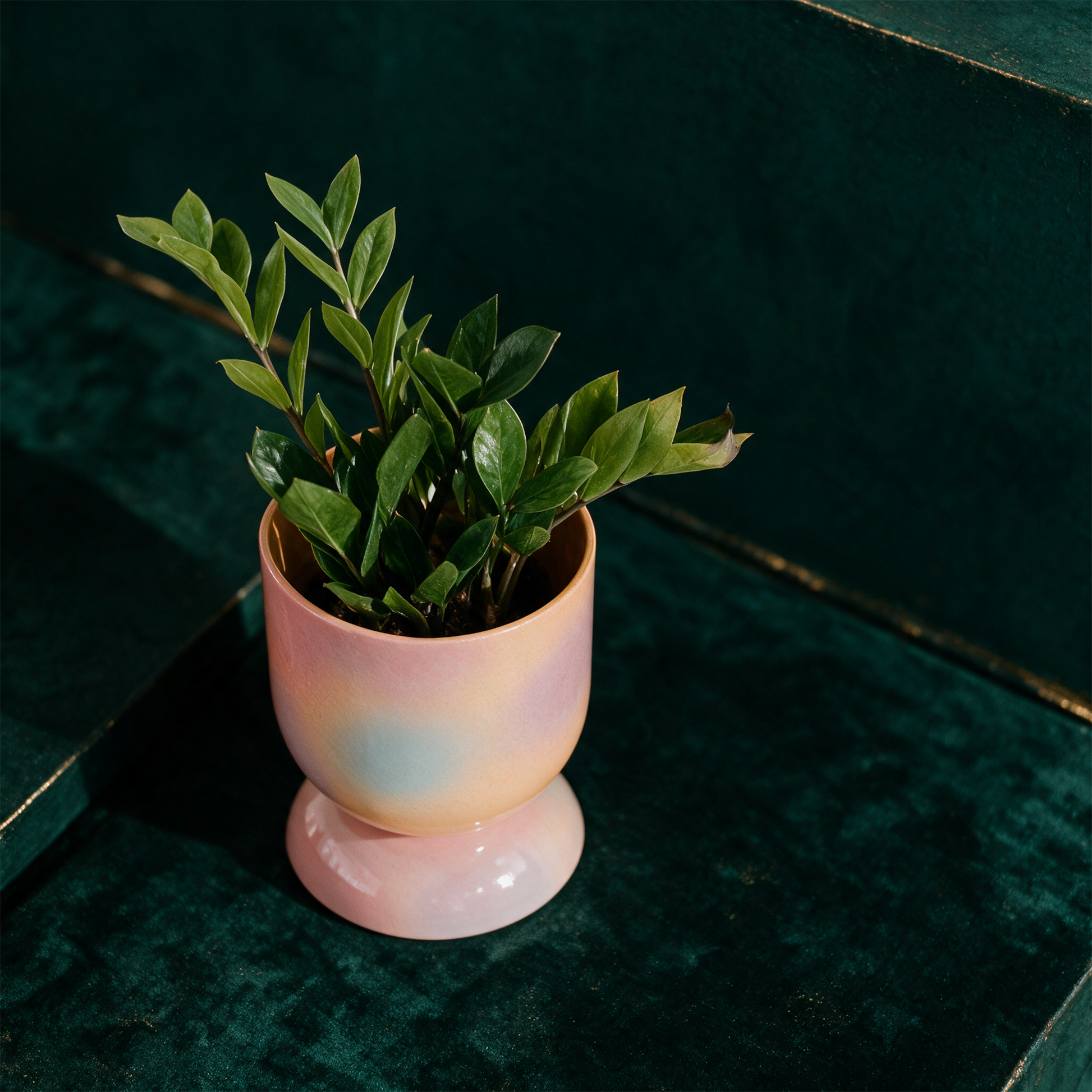 EUPHORIA LARGE POT AND SAUCER – alternative Produktansicht vor tiefem Smaragdgrün