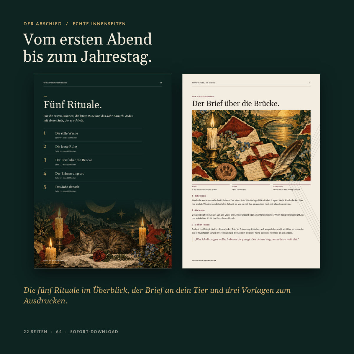 Echte Innenseiten: Fünf Rituale im Überblick und Der Brief über die Brücke