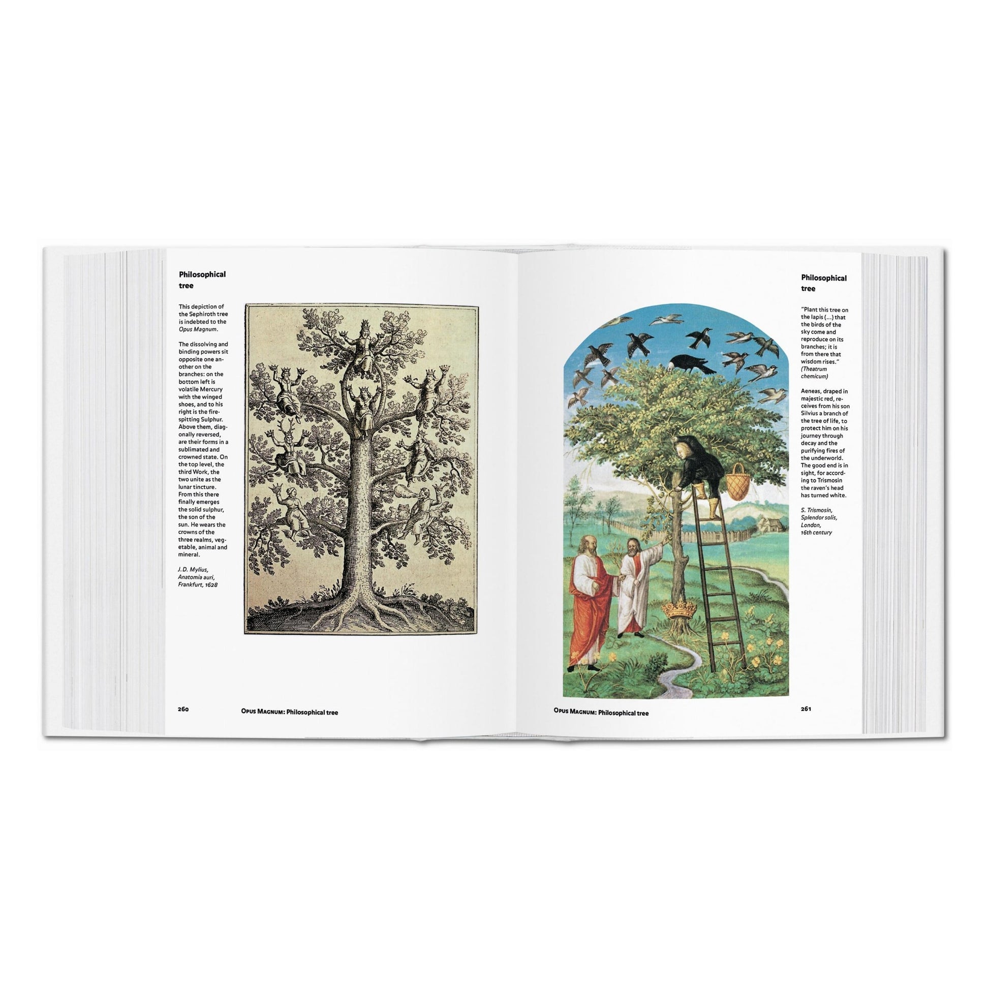 Textseite mit historischer Zeichnung aus Alchemy & Mysticism