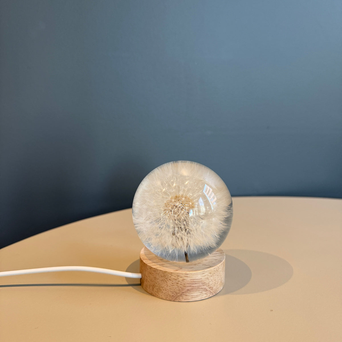 Pusteblumen-Lampe | Handgemachte LED-Tischleuchte mit echter Pusteblume