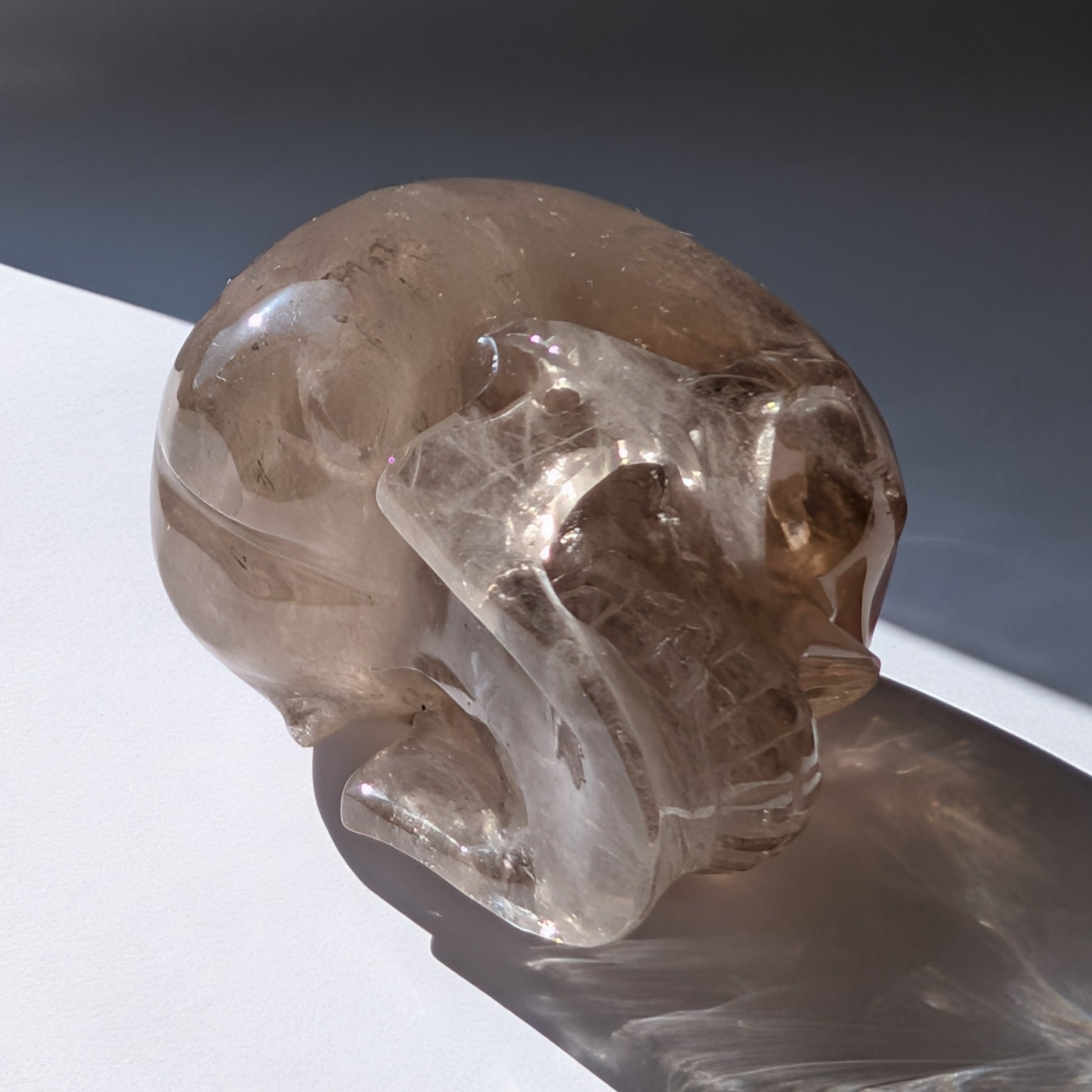 Ein 594g schwerer, klarer Rauchquarz-Schädel 'Der Wächter der Schatten' mit leuchtenden Regenbogen-Einschlüssen.