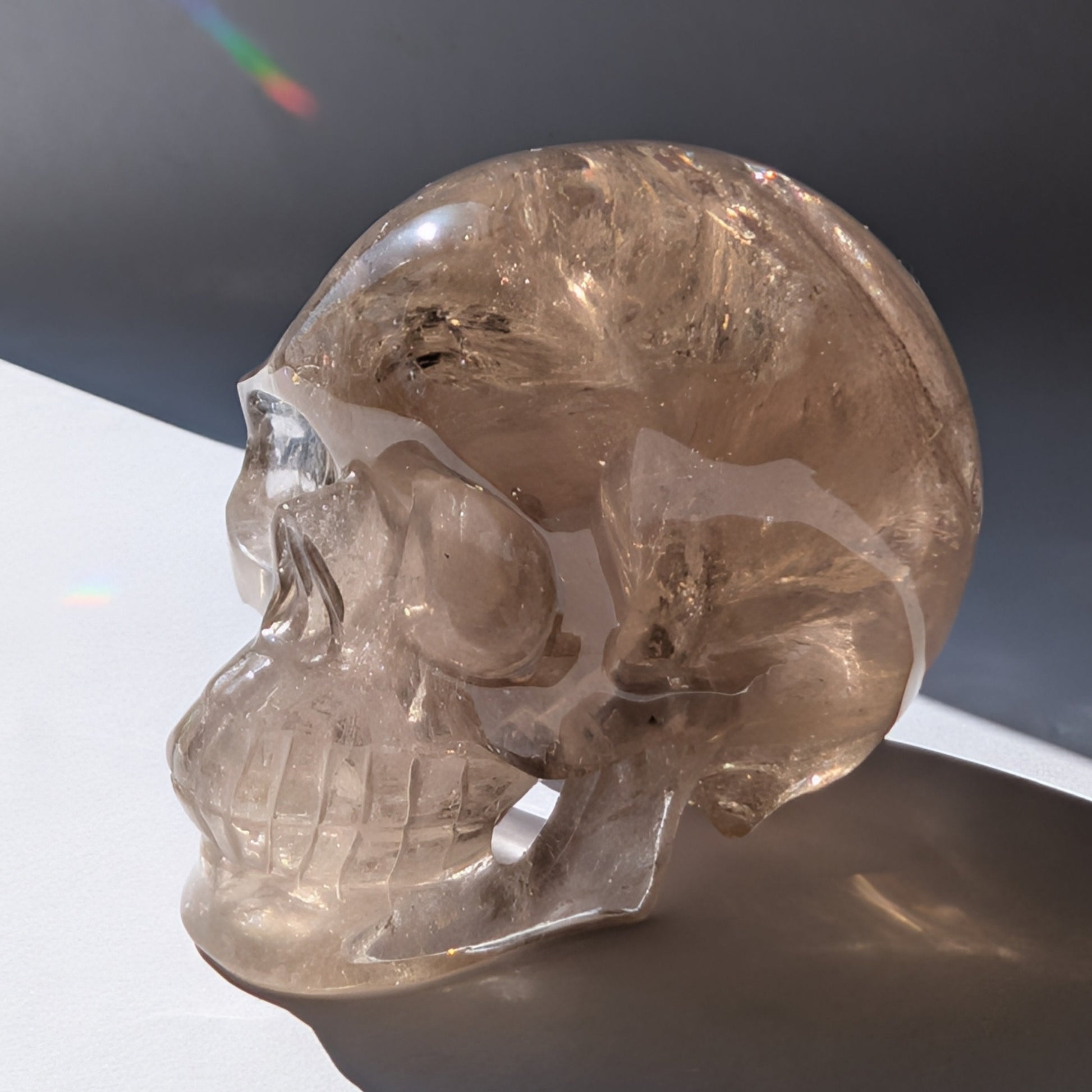 Ein 594g schwerer, klarer Rauchquarz-Schädel 'Der Wächter der Schatten' mit leuchtenden Regenbogen-Einschlüssen.