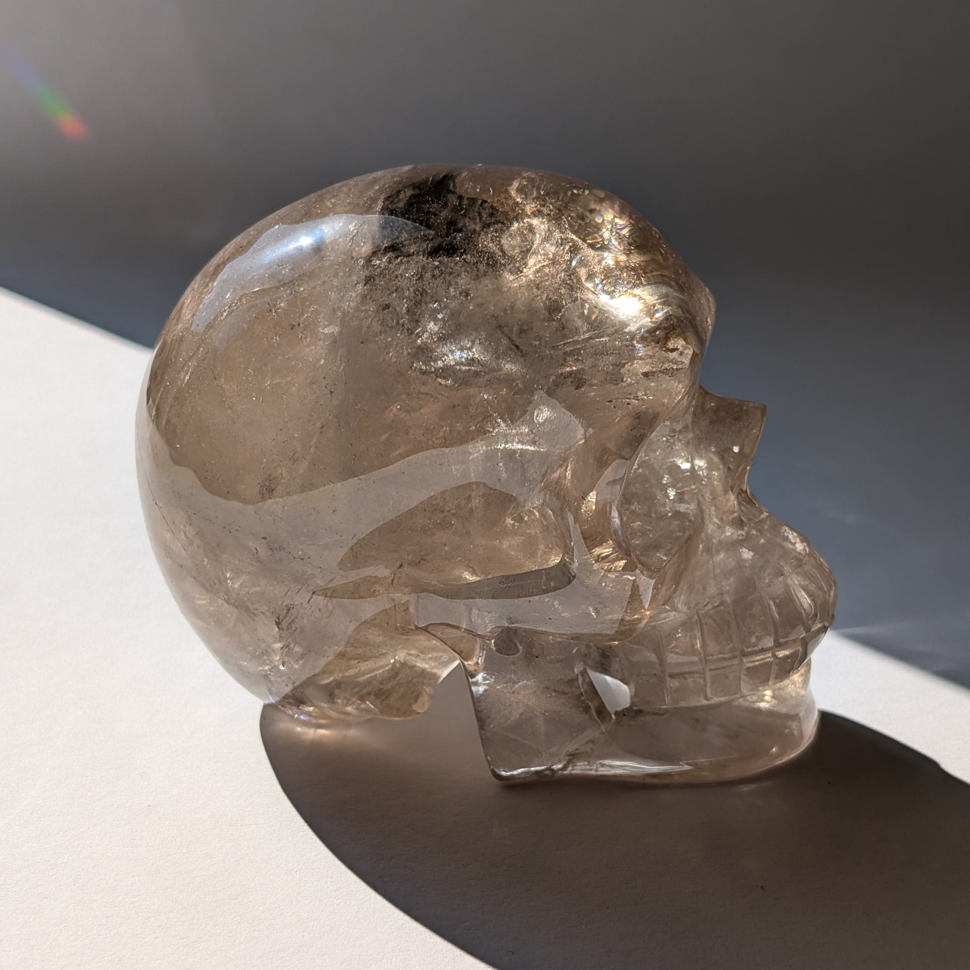 Ein 594g schwerer, klarer Rauchquarz-Schädel 'Der Wächter der Schatten' mit leuchtenden Regenbogen-Einschlüssen.