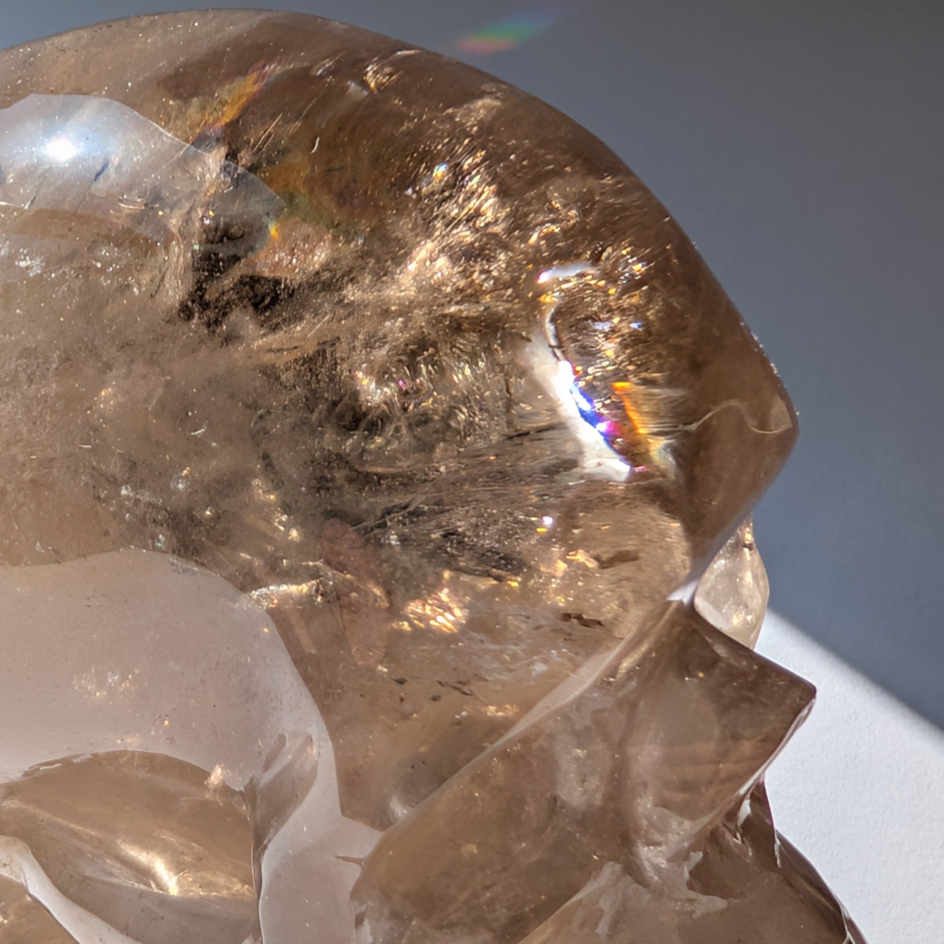 Ein 594g schwerer, klarer Rauchquarz-Schädel 'Der Wächter der Schatten' mit leuchtenden Regenbogen-Einschlüssen.
