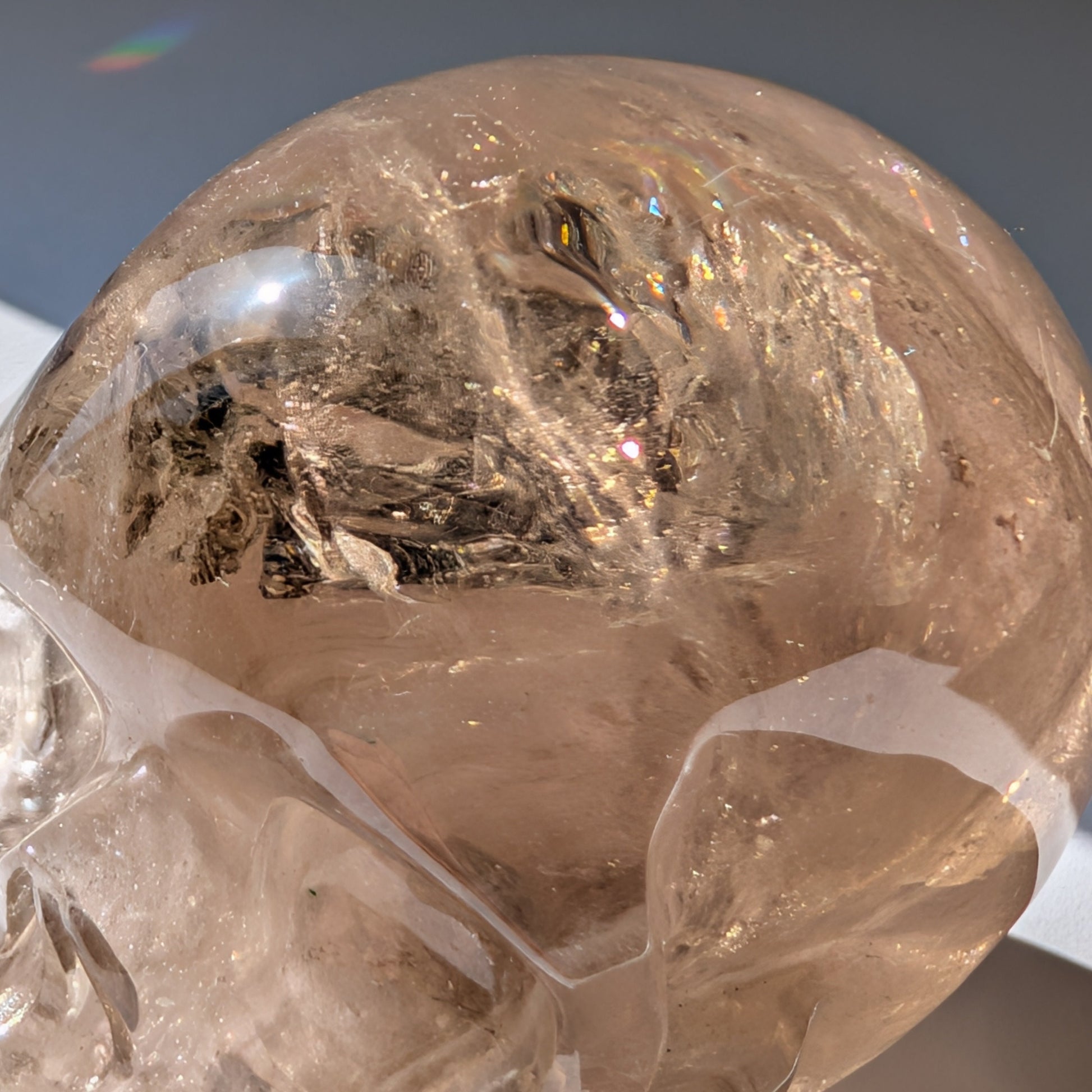 Ein 594g schwerer, klarer Rauchquarz-Schädel 'Der Wächter der Schatten' mit leuchtenden Regenbogen-Einschlüssen.