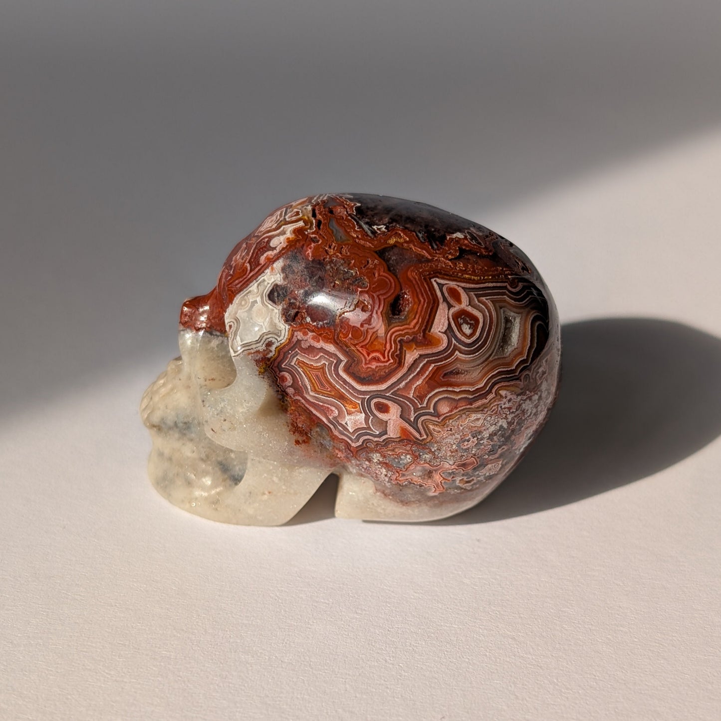 Ein 78g schwerer Kristallschädel 'Thorus' aus Crazy Lace Achat mit hypnotischen roten Mustern und einer offenen, funkelnden Druzy-Geode auf dem Scheitel.