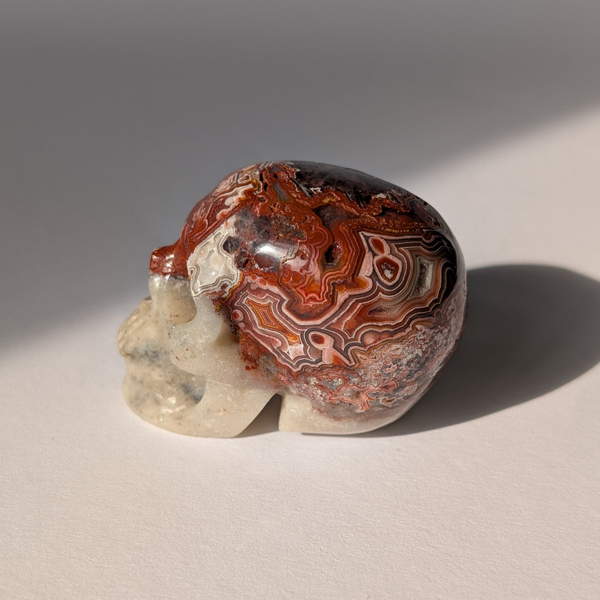 Ein 78g schwerer Kristallschädel 'Thorus' aus Crazy Lace Achat mit hypnotischen roten Mustern und einer offenen, funkelnden Druzy-Geode auf dem Scheitel.