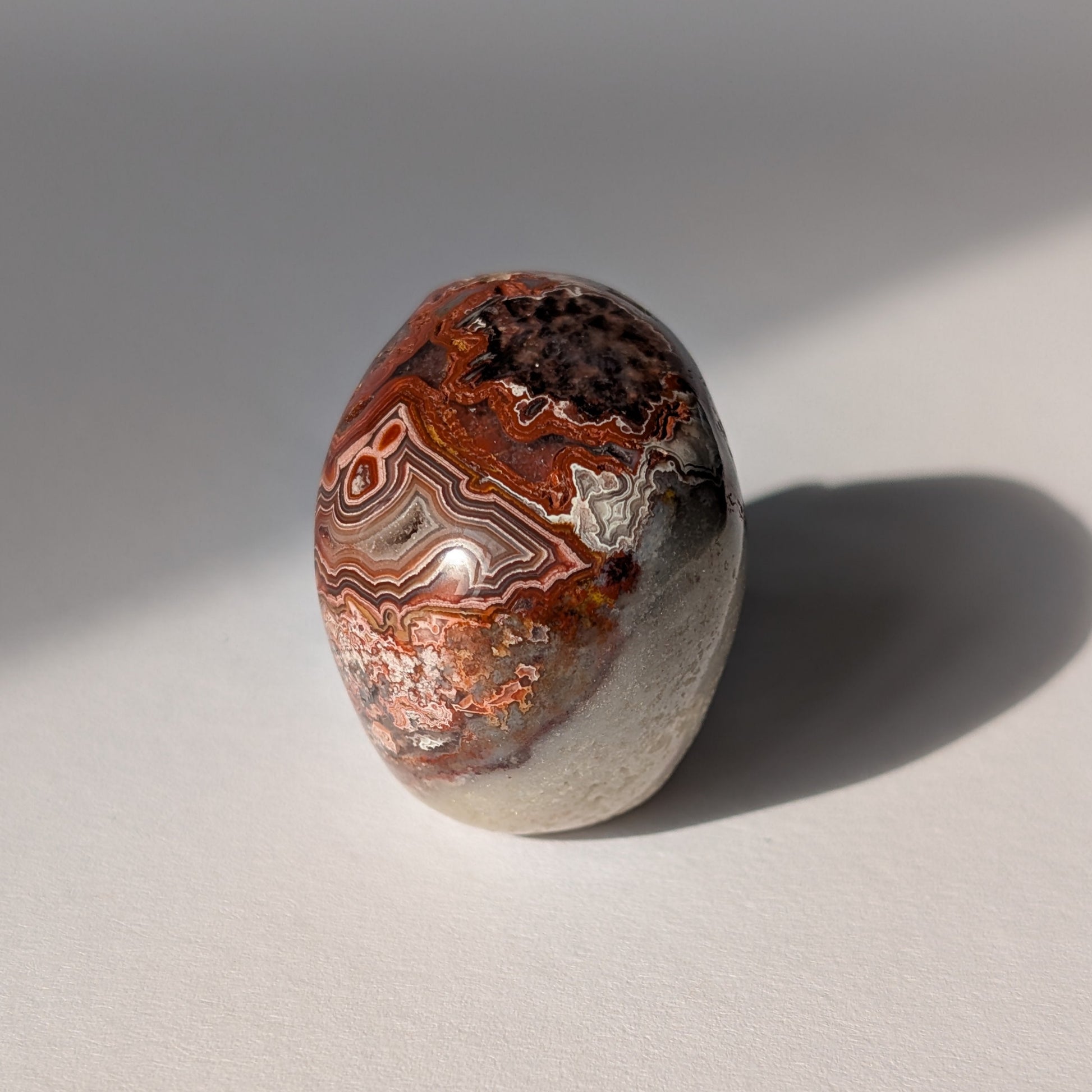 Ein 78g schwerer Kristallschädel 'Thorus' aus Crazy Lace Achat mit hypnotischen roten Mustern und einer offenen, funkelnden Druzy-Geode auf dem Scheitel.