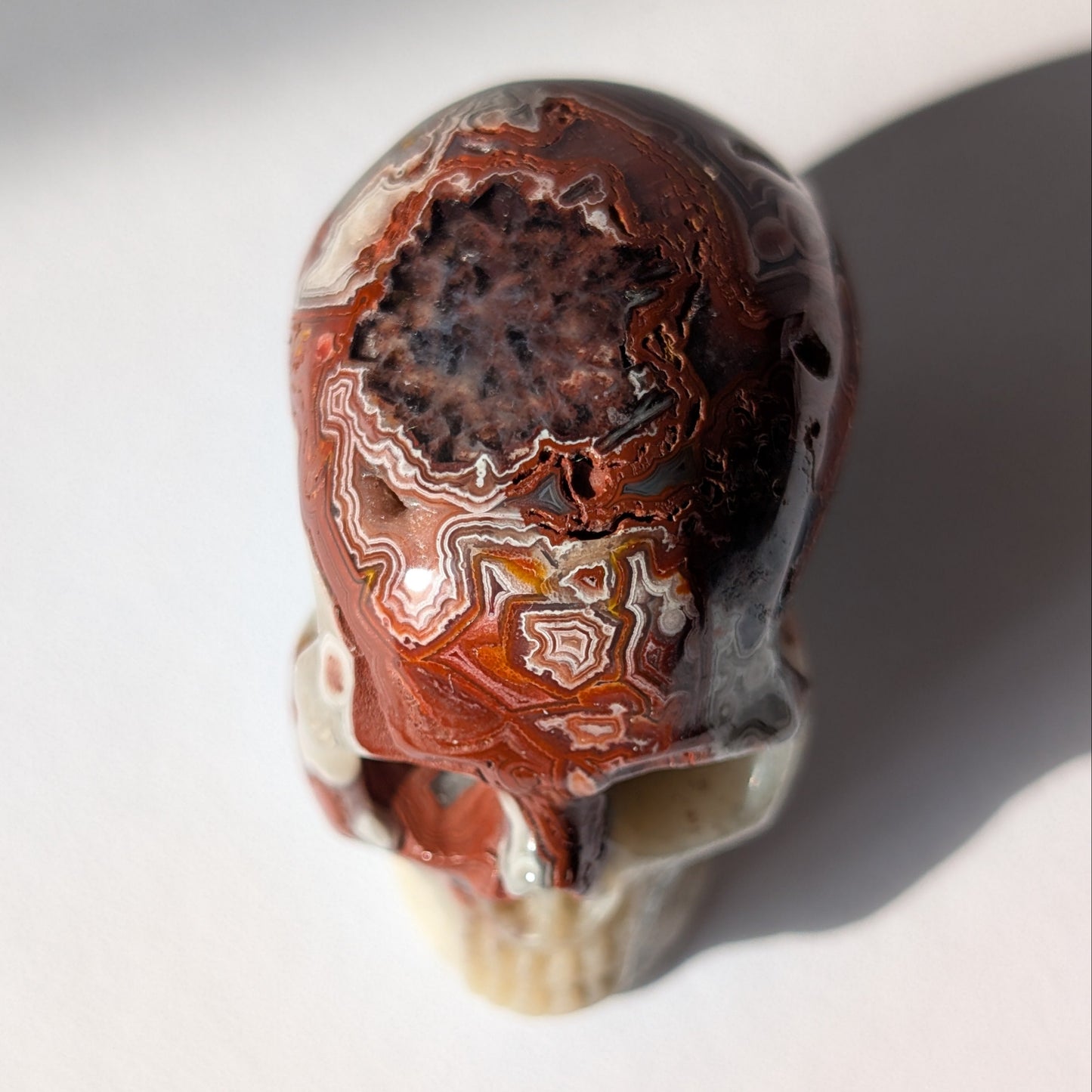 Ein 78g schwerer Kristallschädel 'Thorus' aus Crazy Lace Achat mit hypnotischen roten Mustern und einer offenen, funkelnden Druzy-Geode auf dem Scheitel.