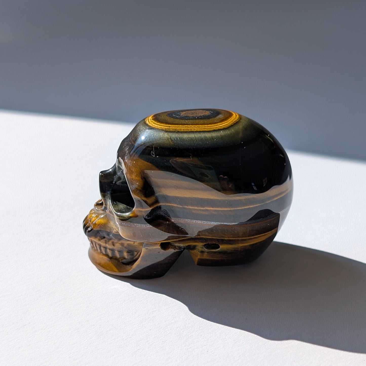 Ein 92g schwerer Kristallschädel 'Erlin' aus Blau-Gold Tigerauge mit einem perfekt geformten, konzentrischen Auge auf dem Scheitel.