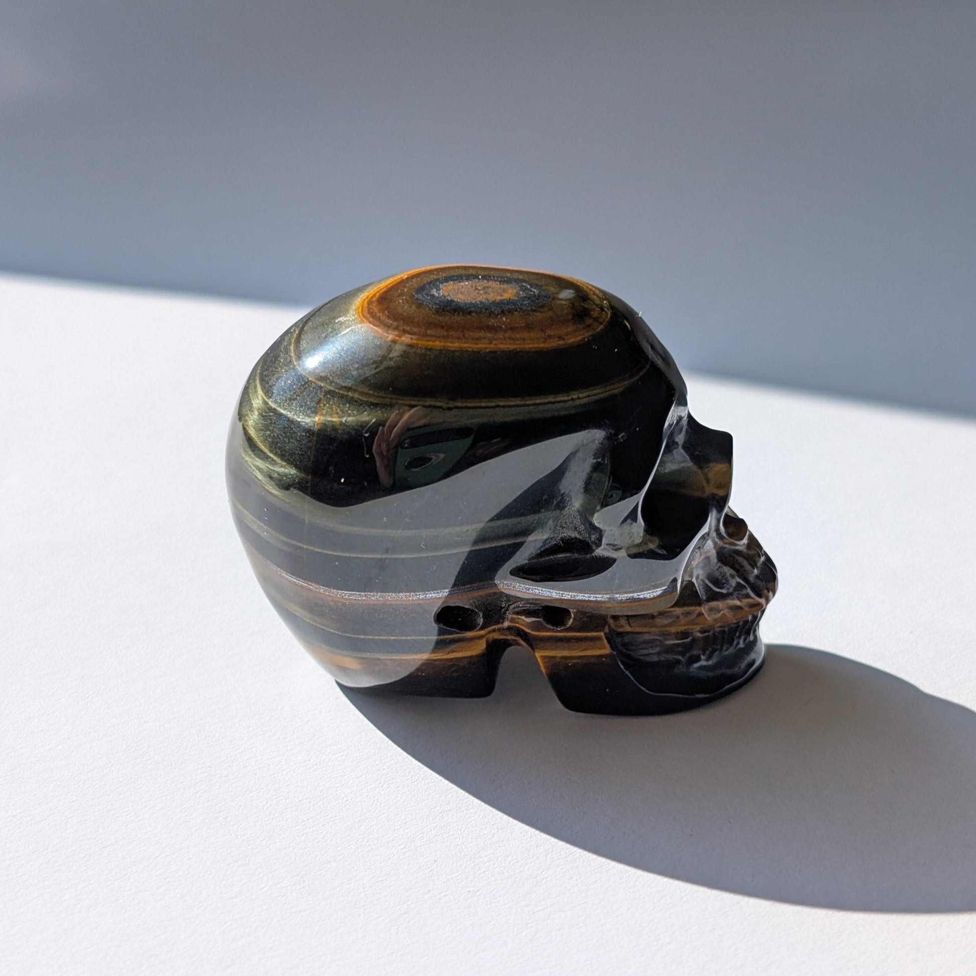 Ein 92g schwerer Kristallschädel 'Erlin' aus Blau-Gold Tigerauge mit einem perfekt geformten, konzentrischen Auge auf dem Scheitel.