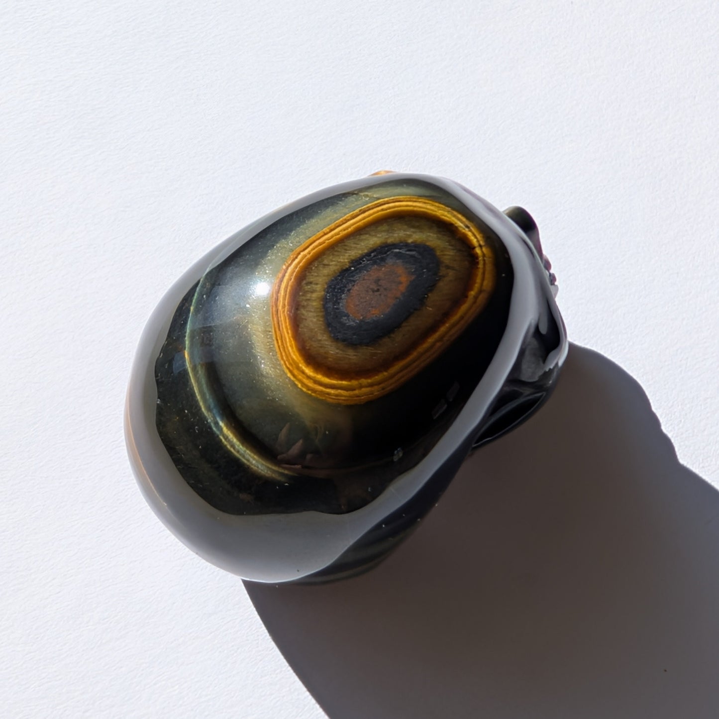 Ein 92g schwerer Kristallschädel 'Erlin' aus Blau-Gold Tigerauge mit einem perfekt geformten, konzentrischen Auge auf dem Scheitel.