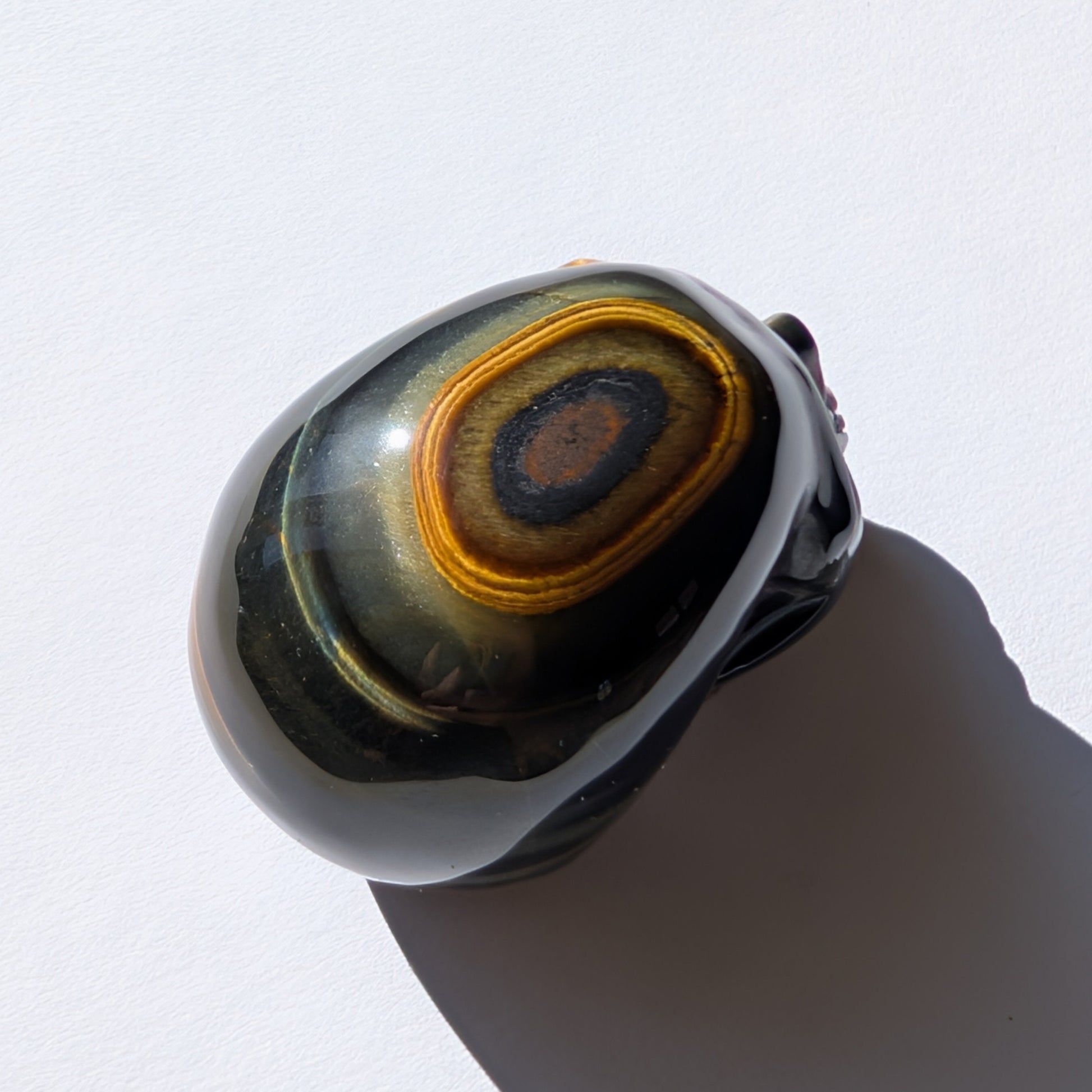 Ein 92g schwerer Kristallschädel 'Erlin' aus Blau-Gold Tigerauge mit einem perfekt geformten, konzentrischen Auge auf dem Scheitel.