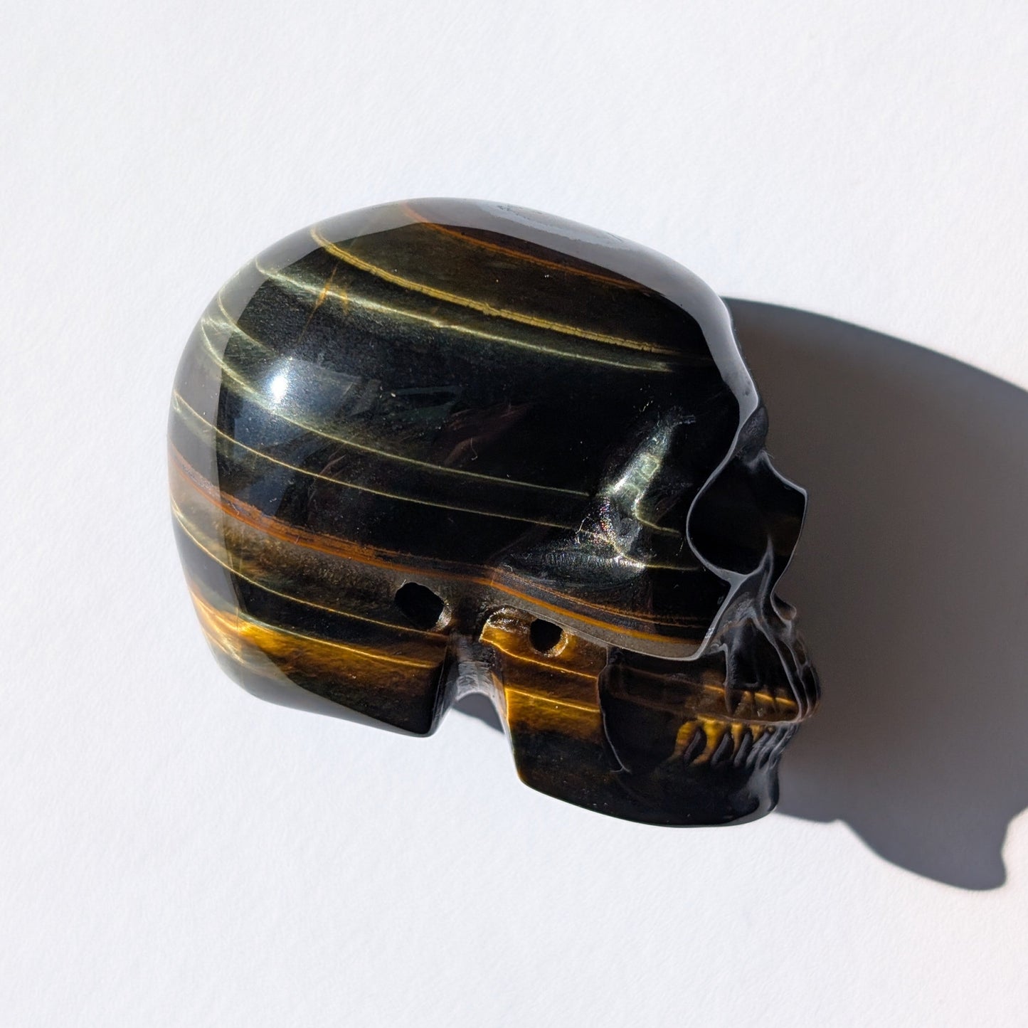 Ein 92g schwerer Kristallschädel 'Erlin' aus Blau-Gold Tigerauge mit einem perfekt geformten, konzentrischen Auge auf dem Scheitel.