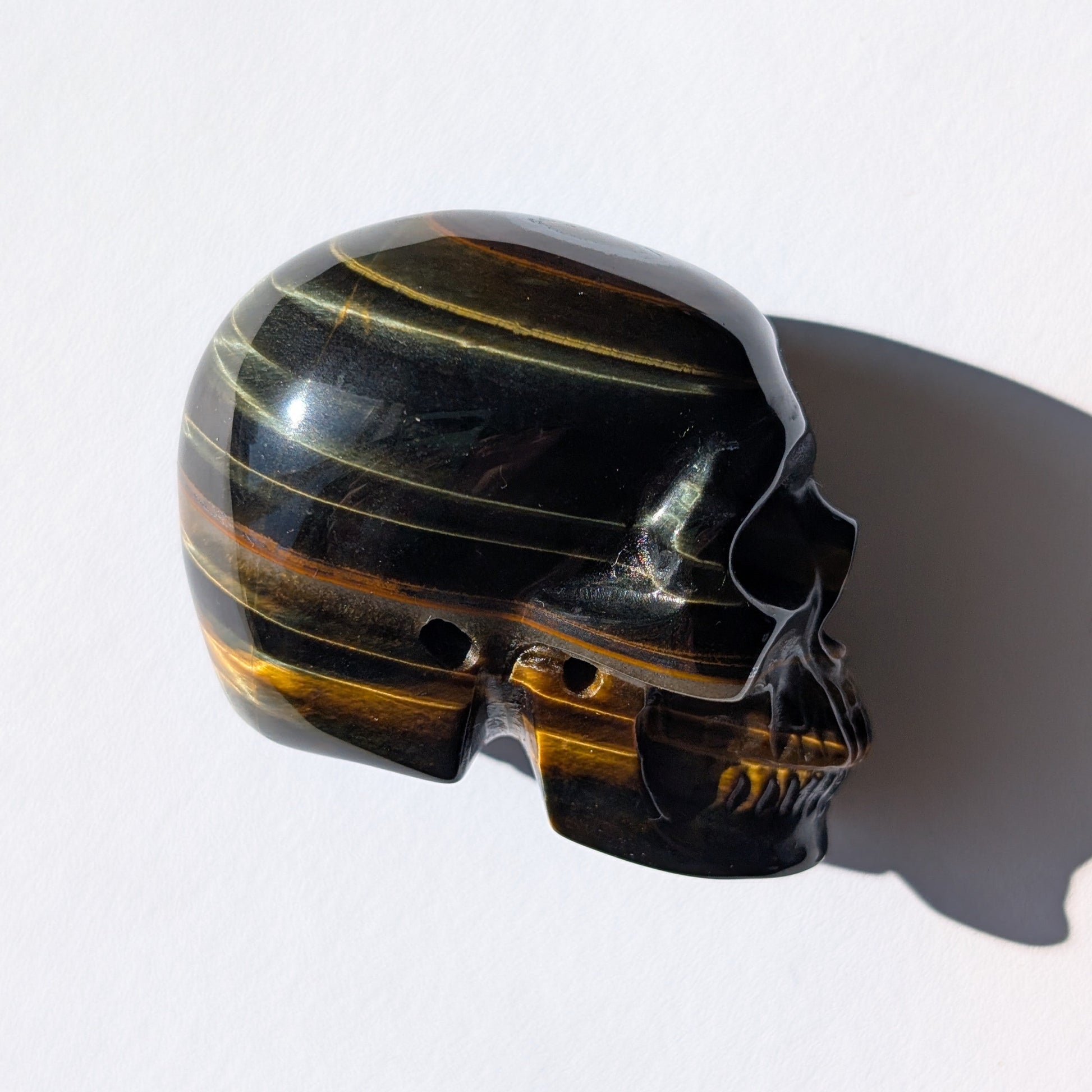 Ein 92g schwerer Kristallschädel 'Erlin' aus Blau-Gold Tigerauge mit einem perfekt geformten, konzentrischen Auge auf dem Scheitel.
