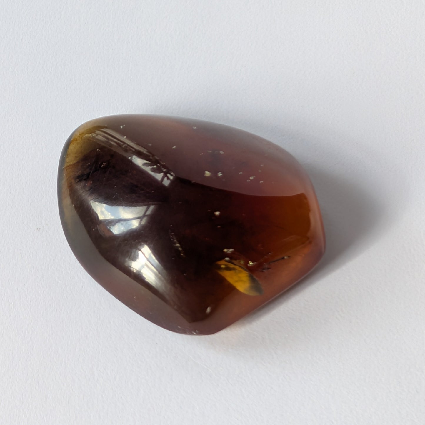 Ein glatt polierter Bicolor-Bernstein 'Funke der Vorzeit', der im Licht von tiefrot zu leuchtend gold schimmert.