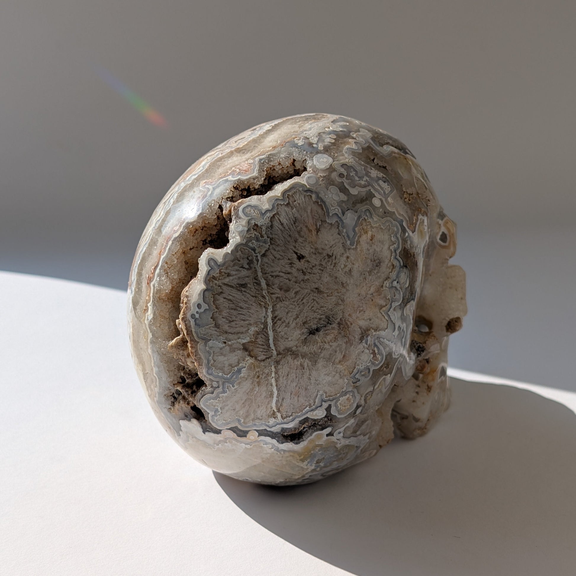 Ein monumentaler, 1292g schwerer Kristallschädel 'Der Wächter der Freude' aus Crazy Lace Achat mit hypnotischen Mustern und einer großen, offenen Druzy-Geode am Hinterkopf.