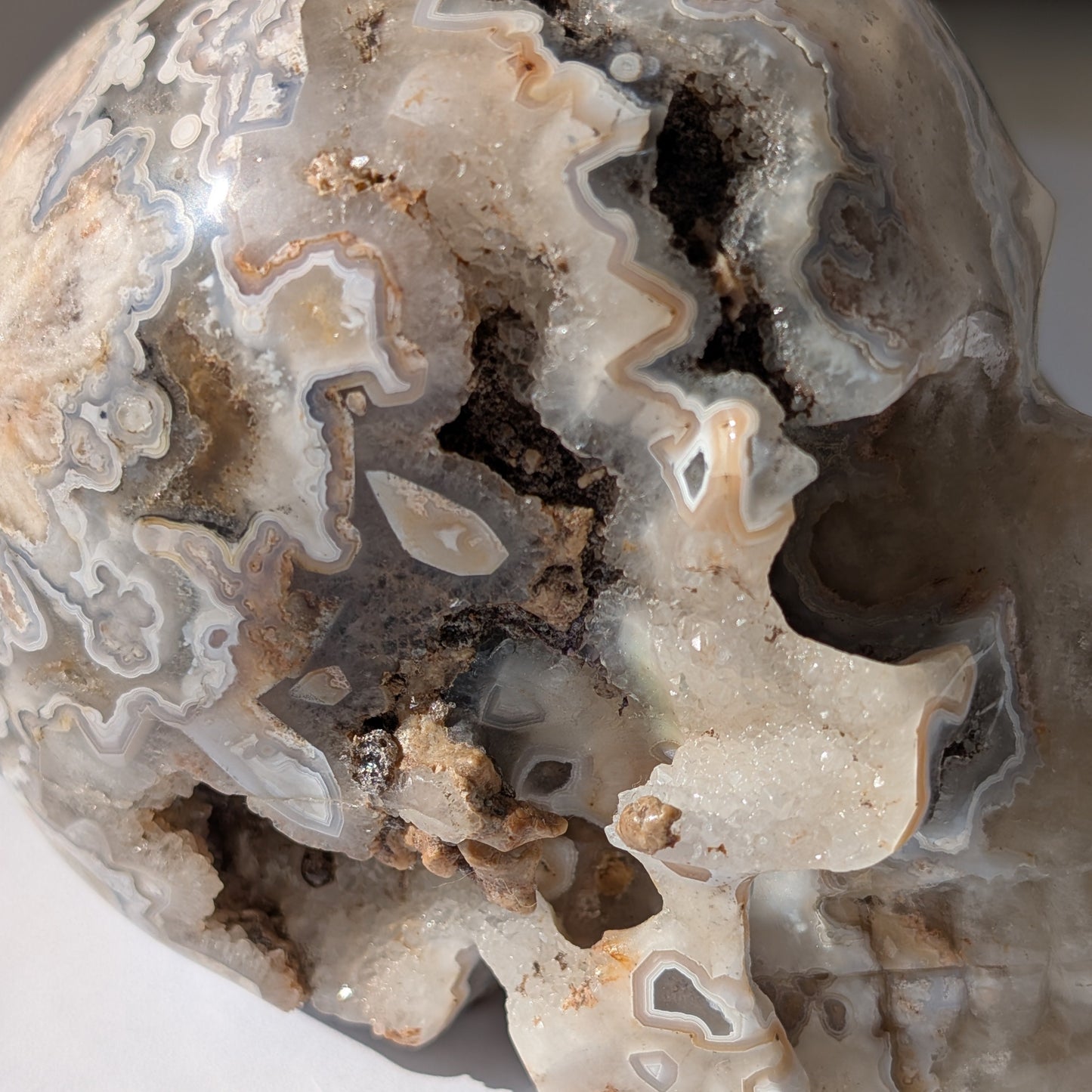 Ein monumentaler, 1292g schwerer Kristallschädel 'Der Wächter der Freude' aus Crazy Lace Achat mit hypnotischen Mustern und einer großen, offenen Druzy-Geode am Hinterkopf.
