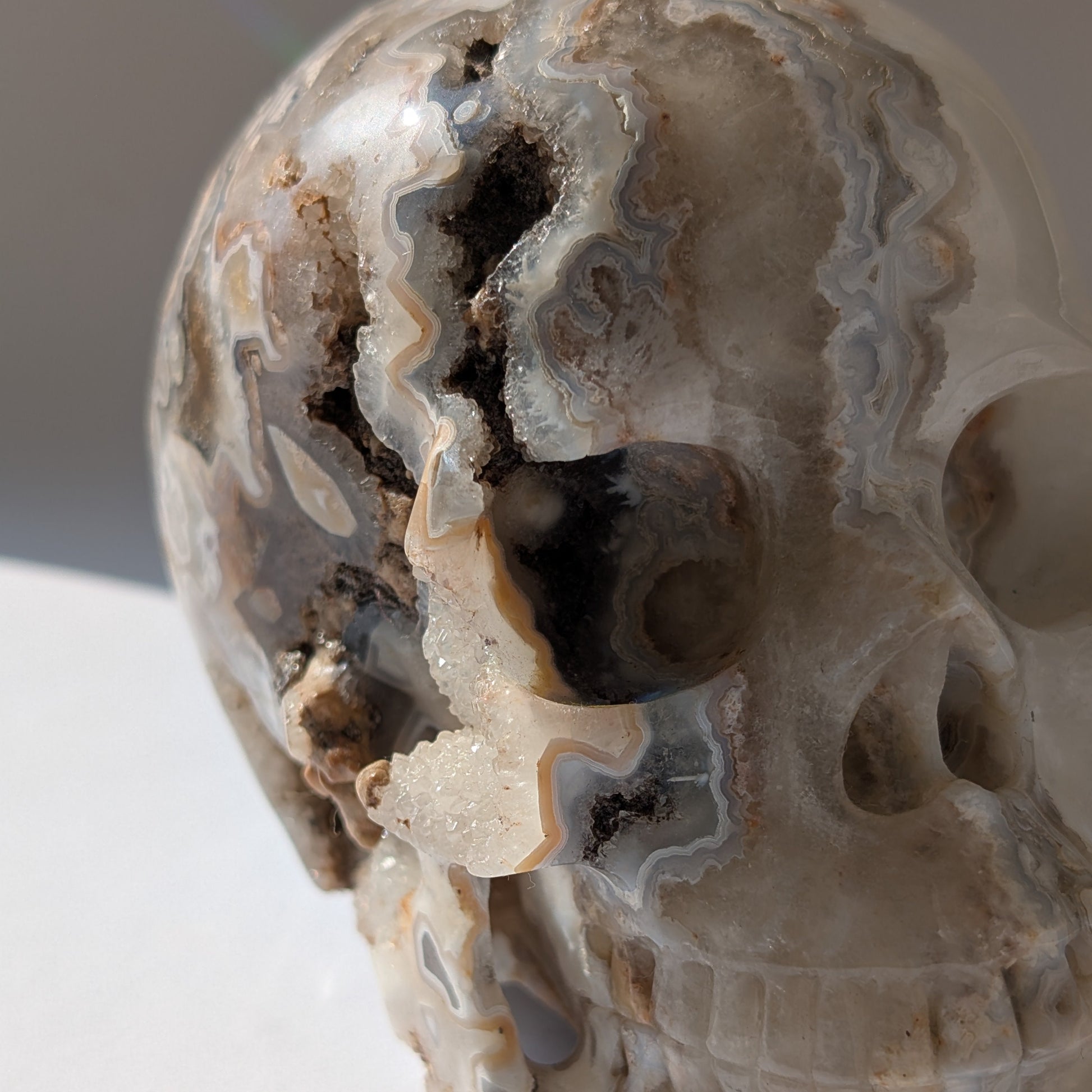 Ein monumentaler, 1292g schwerer Kristallschädel 'Der Wächter der Freude' aus Crazy Lace Achat mit hypnotischen Mustern und einer großen, offenen Druzy-Geode am Hinterkopf.