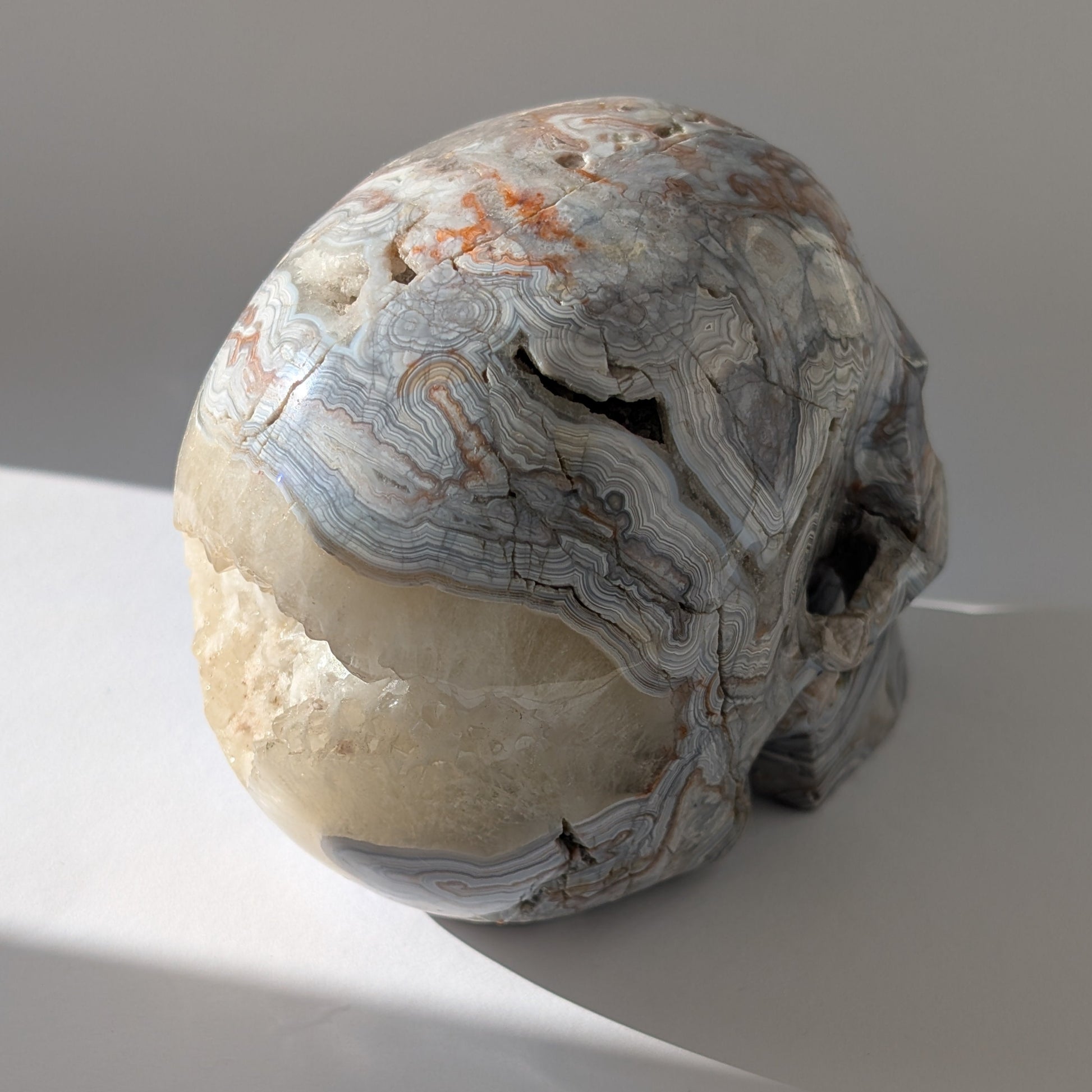 Ein monumentaler, 1301g schwerer Kristallschädel 'Rondar' aus Crazy Lace Achat mit hypnotischen Mustern und einer großen, offenen Druzy-Geode am Hinterkopf.