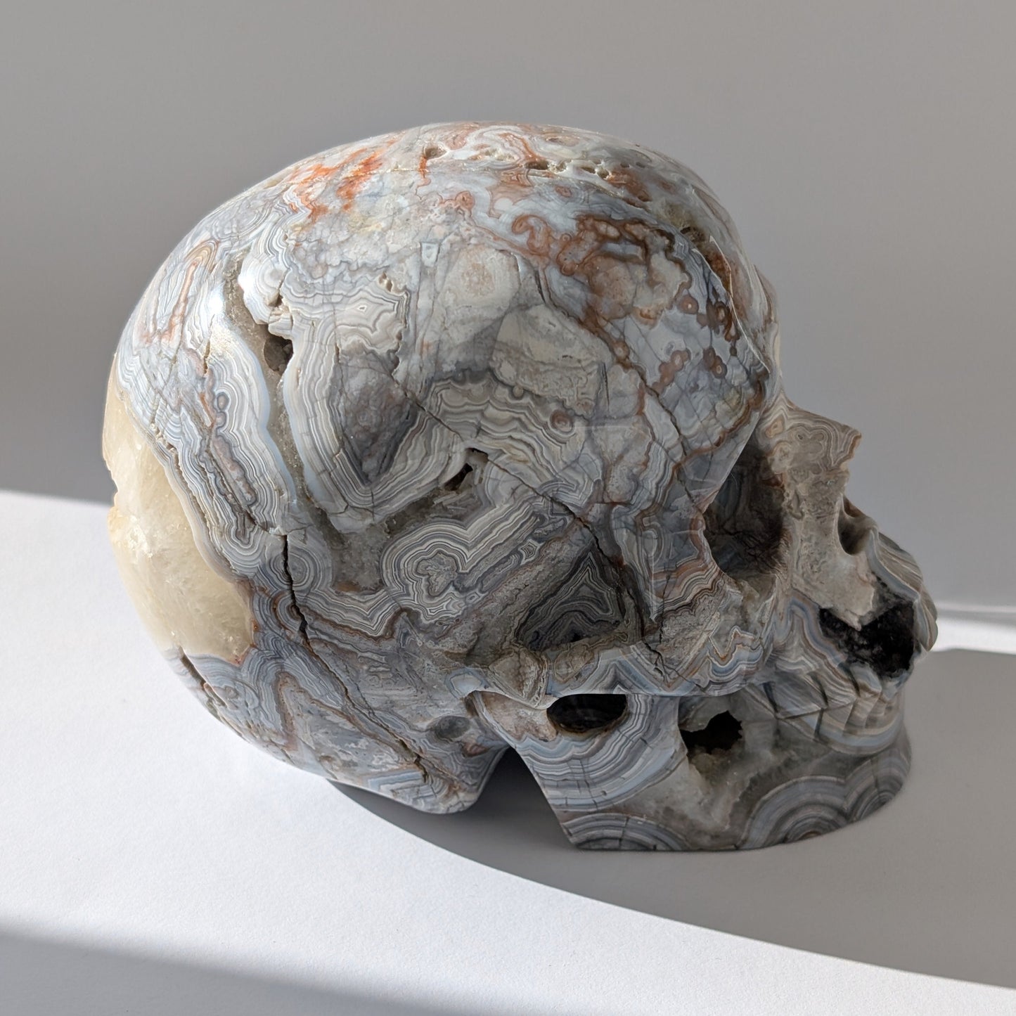 Ein monumentaler, 1301g schwerer Kristallschädel 'Rondar' aus Crazy Lace Achat mit hypnotischen Mustern und einer großen, offenen Druzy-Geode am Hinterkopf.