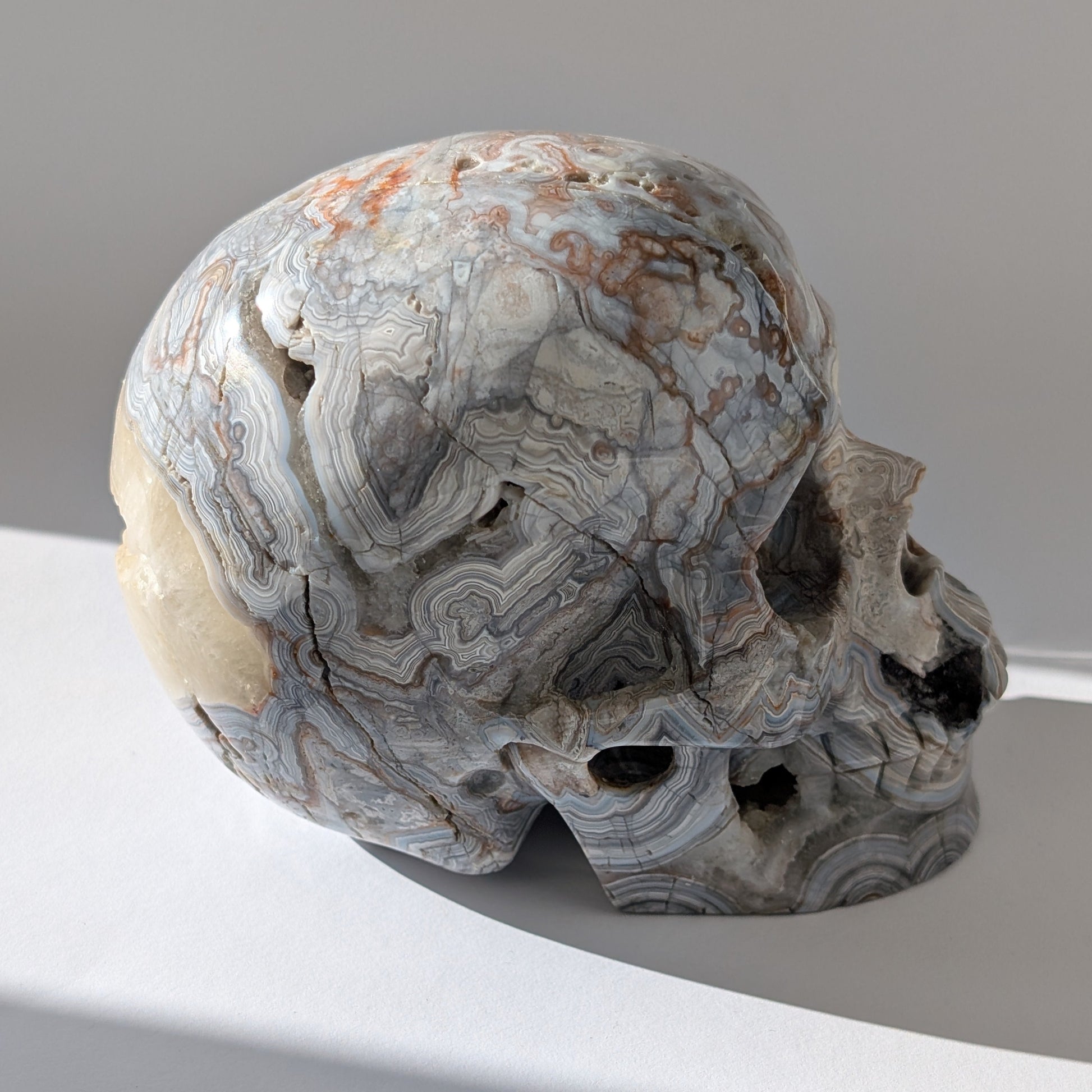 Ein monumentaler, 1301g schwerer Kristallschädel 'Rondar' aus Crazy Lace Achat mit hypnotischen Mustern und einer großen, offenen Druzy-Geode am Hinterkopf.