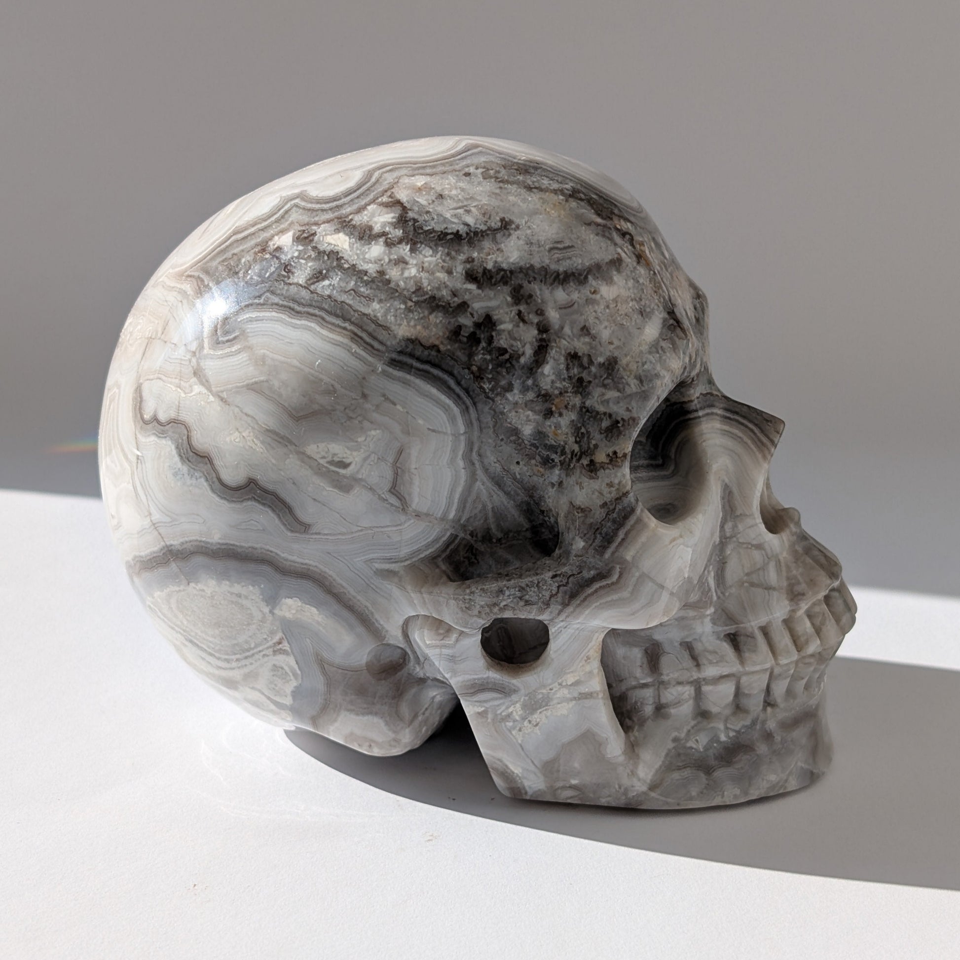Ein monumentaler, 1352g schwerer Kristallschädel 'Lea' aus Gebändertem Achat mit hypnotischen, fließenden Bändern in Grau-, Schwarz- und Weißtönen.