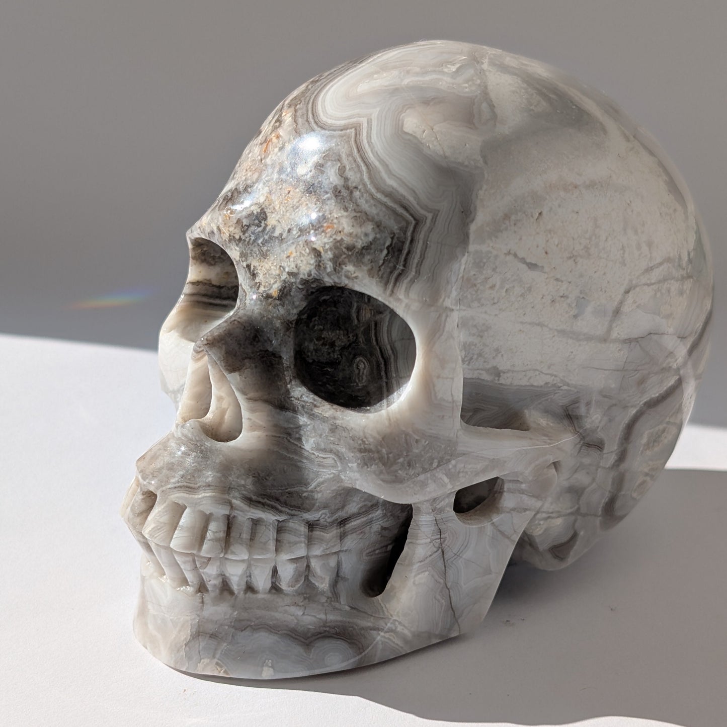 Ein monumentaler, 1352g schwerer Kristallschädel 'Lea' aus Gebändertem Achat mit hypnotischen, fließenden Bändern in Grau-, Schwarz- und Weißtönen.