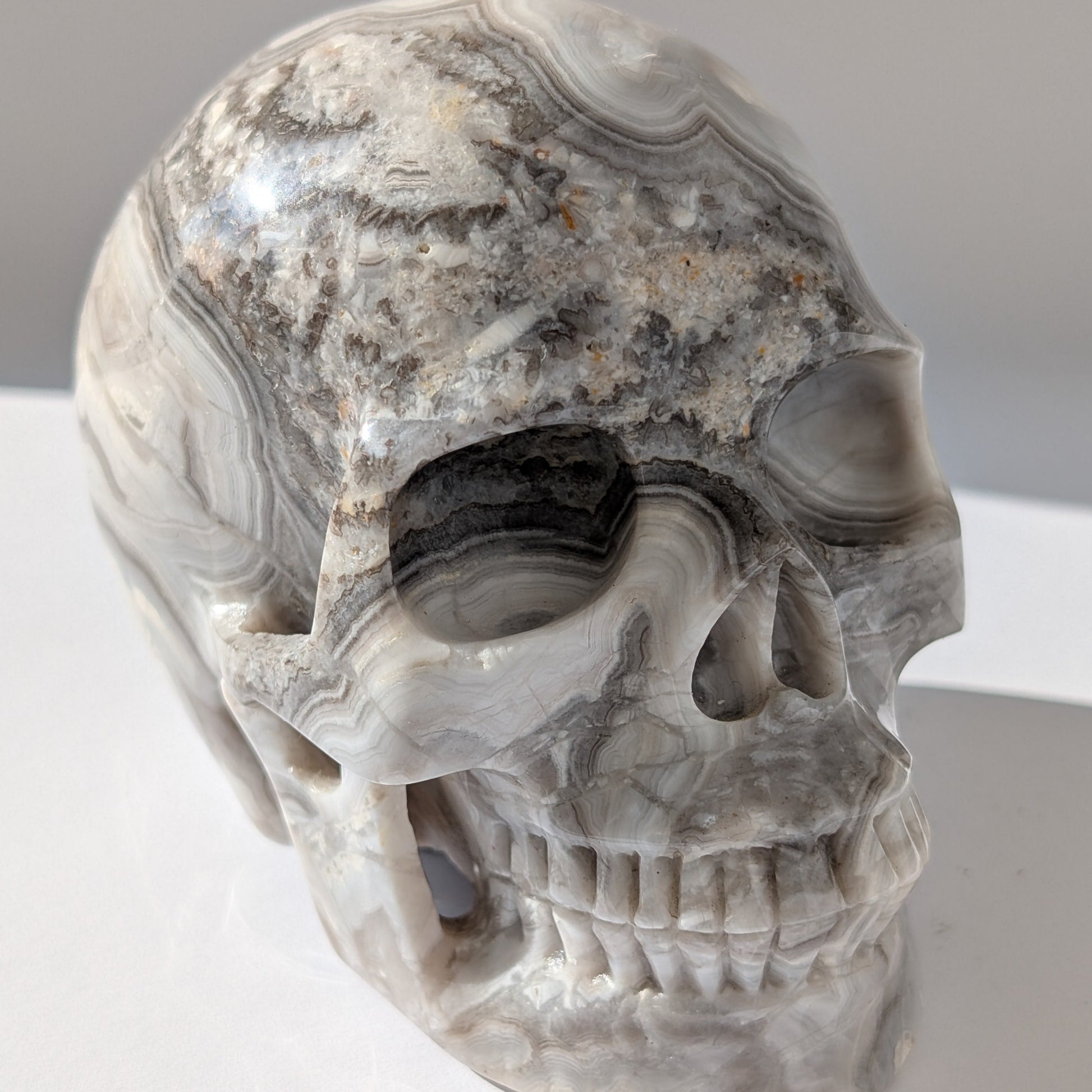 Ein monumentaler, 1352g schwerer Kristallschädel 'Lea' aus Gebändertem Achat mit hypnotischen, fließenden Bändern in Grau-, Schwarz- und Weißtönen.