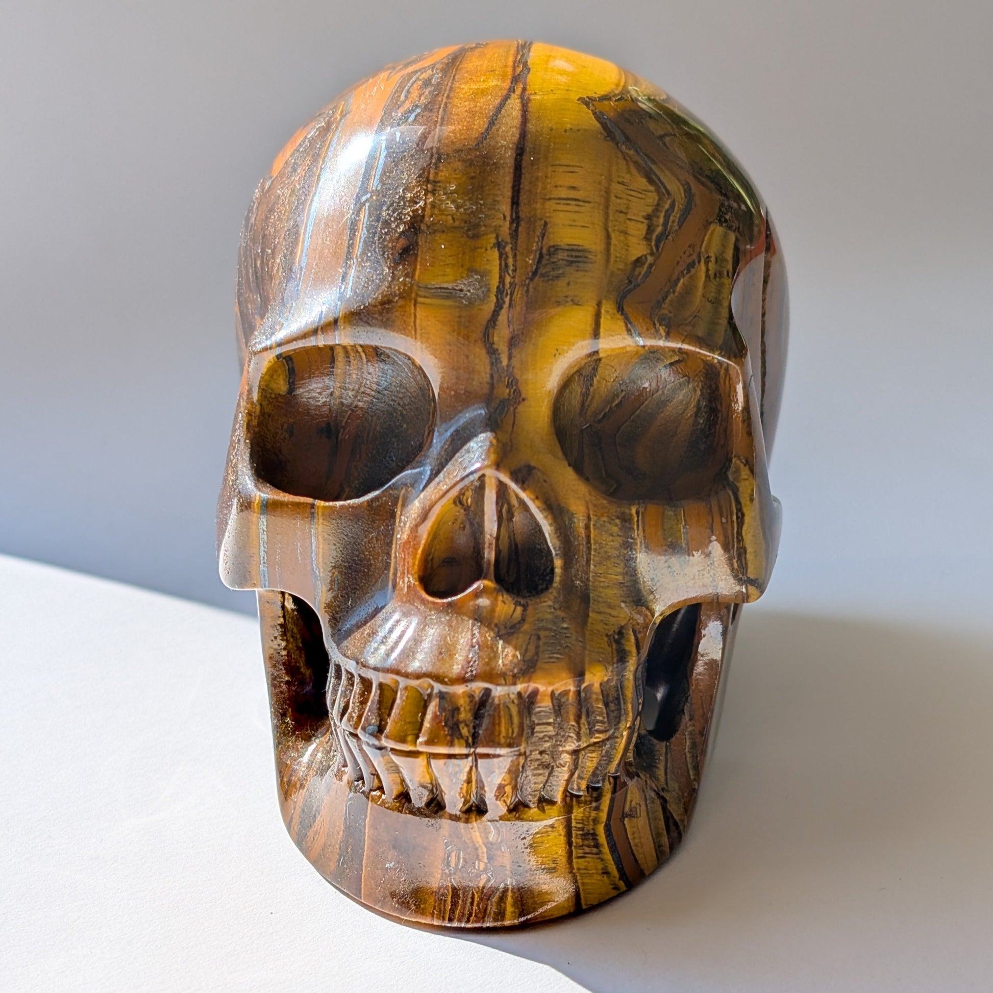 Ein monumentaler, 1480g schwerer Kristallschädel 'Thar' aus Tigerauge mit einem hypnotisierenden, goldenen Schimmer (Chatoyance).