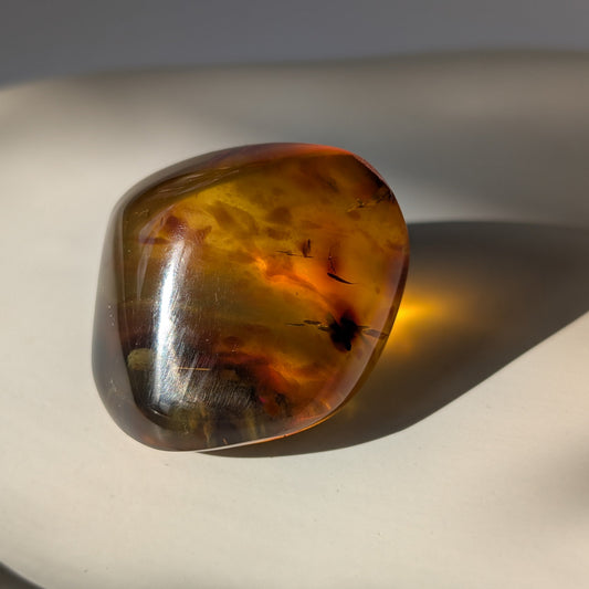 Einzigartiger Bicolor-Bernstein 'Der goldene Schatten' mit mystischen, nebelartigen inneren Strukturen, die an eingefangenen Rauch erinnern.

