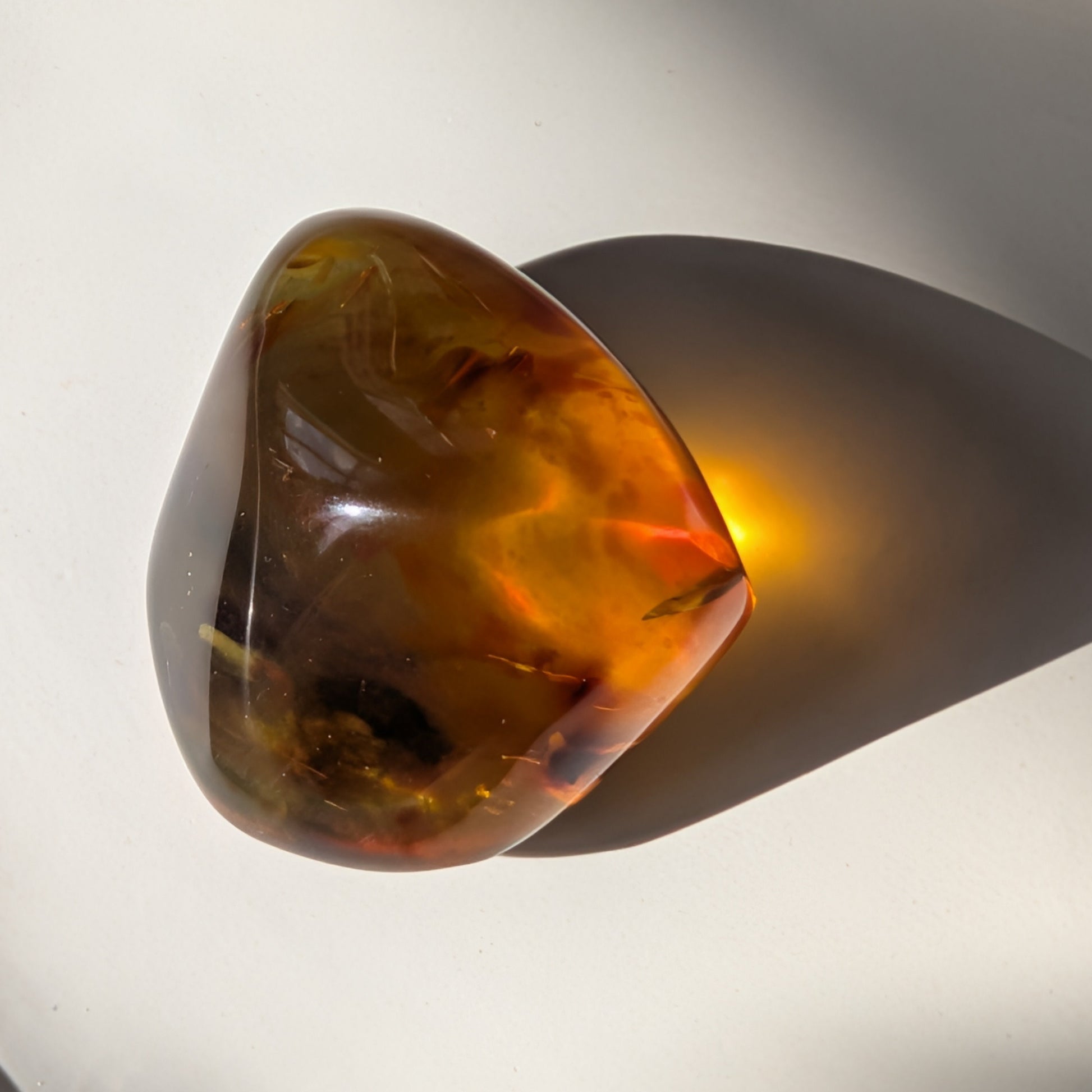 Einzigartiger Bicolor-Bernstein 'Der goldene Schatten' mit mystischen, nebelartigen inneren Strukturen, die an eingefangenen Rauch erinnern.

