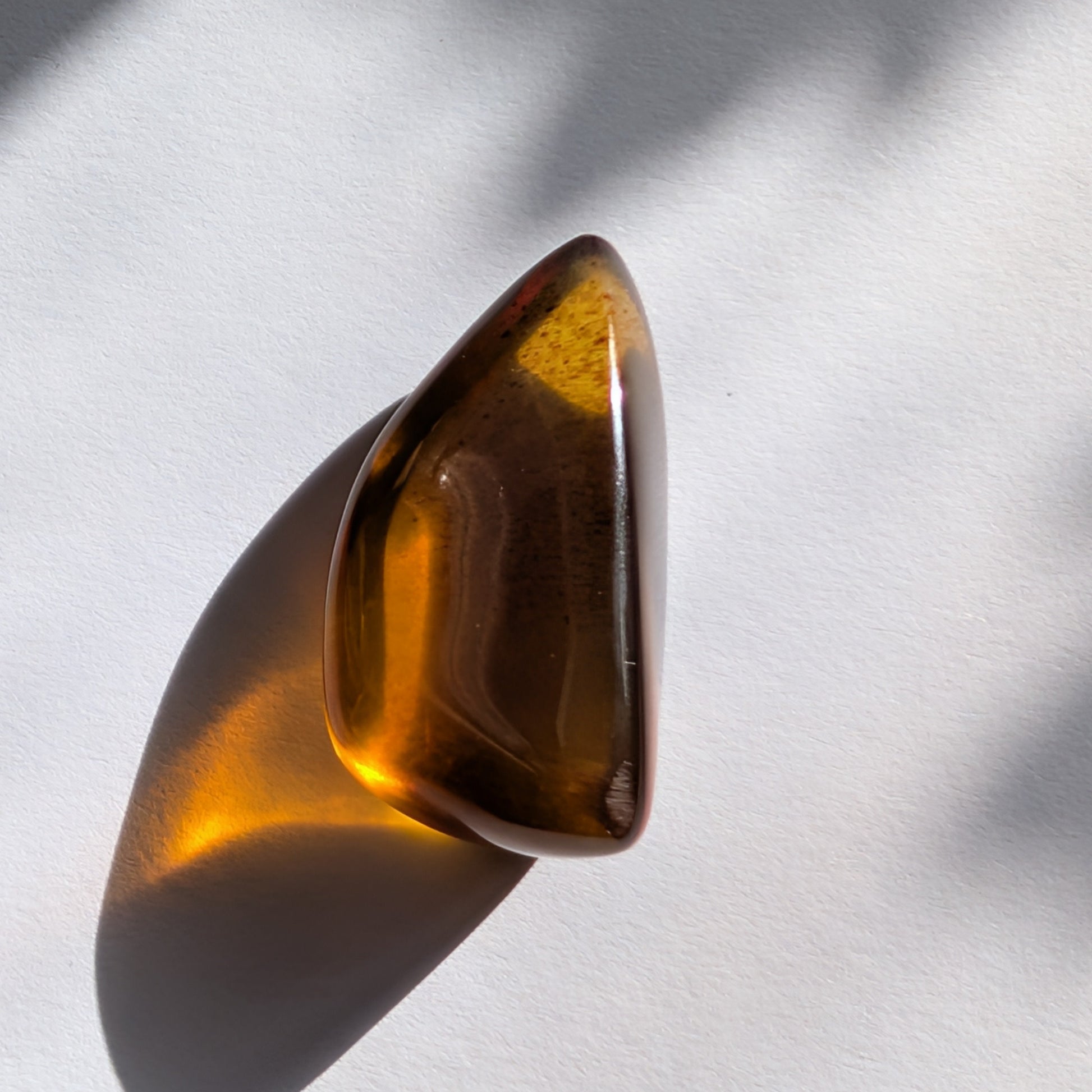 Eleganter, von Natur aus tropfenförmiger Bicolor-Bernstein 'Die Träne der Sonne', der von tiefem Kirschrot zu leuchtendem Gold schimmert.