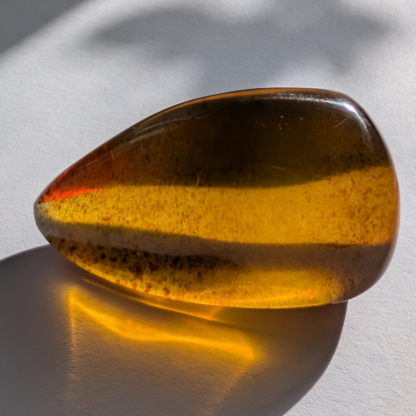 Eleganter, von Natur aus tropfenförmiger Bicolor-Bernstein 'Die Träne der Sonne', der von tiefem Kirschrot zu leuchtendem Gold schimmert.