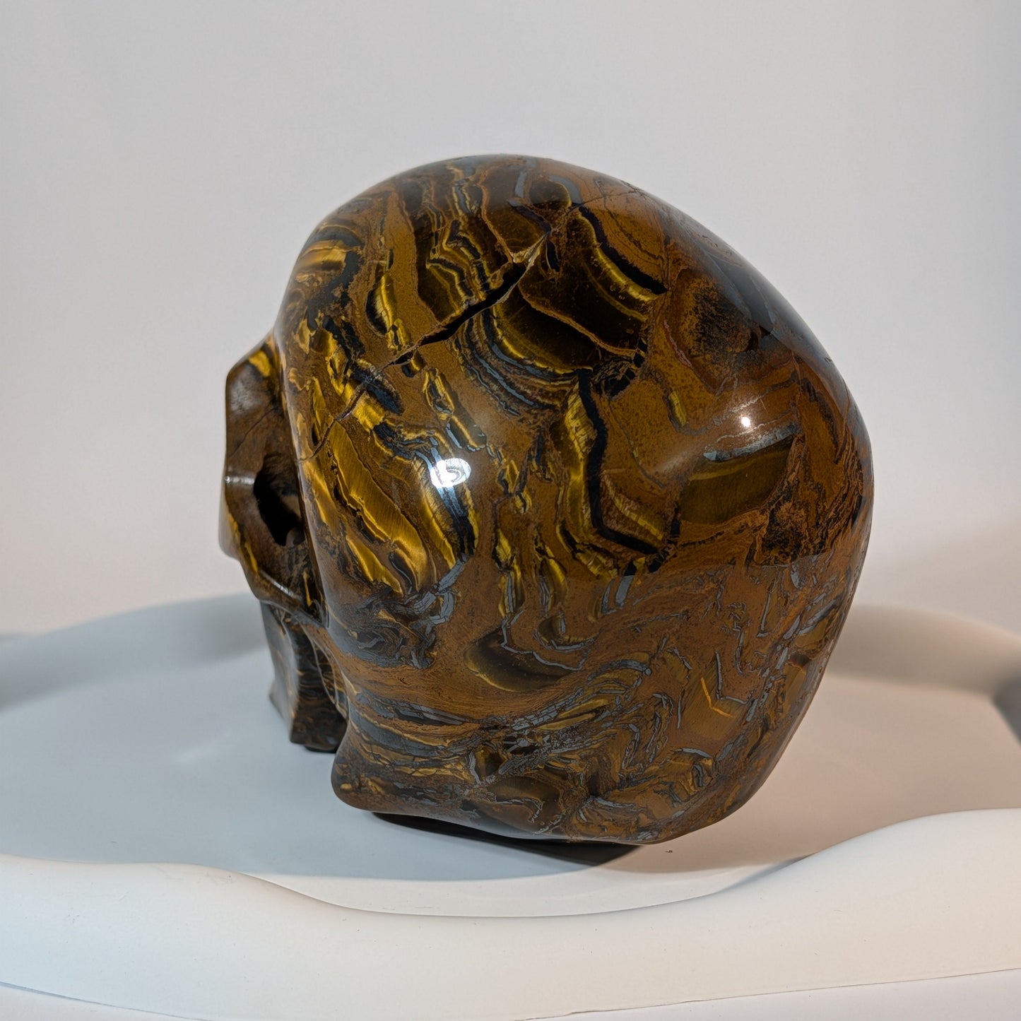 Gigantischer Kristallschädel, gezeichnet von markanten, zweifarbigen Bändern aus goldenem Tigerauge und silbrig-metallischem Hämatit.