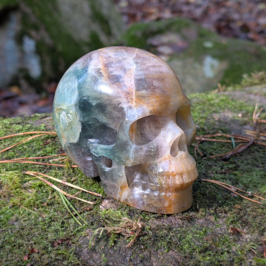 Großer Kristallschädel "Arduin" (1.6kg) aus Regenbogenfluorit mit grünen und goldenen Zonen, auf Moos liegend.