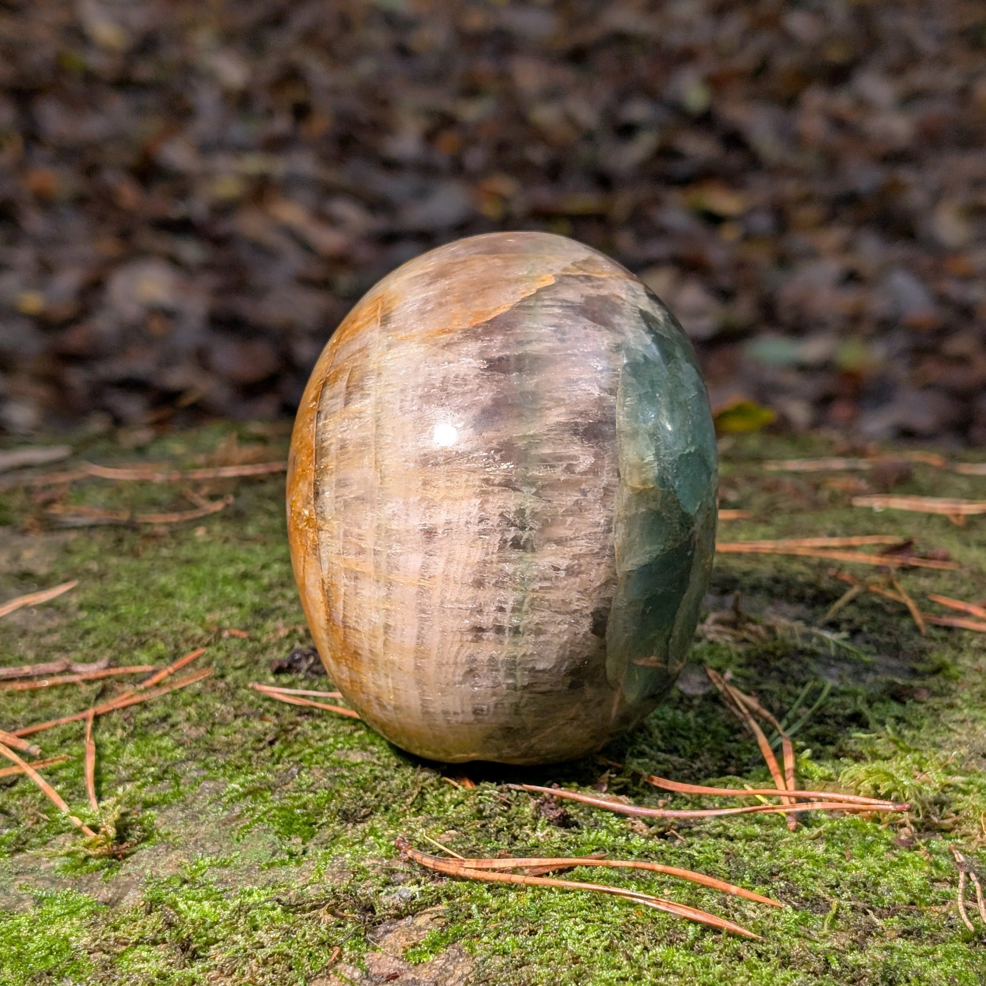 Großer Kristallschädel "Arduin" (1.6kg) aus Regenbogenfluorit mit grünen und goldenen Zonen, auf Moos liegend.
