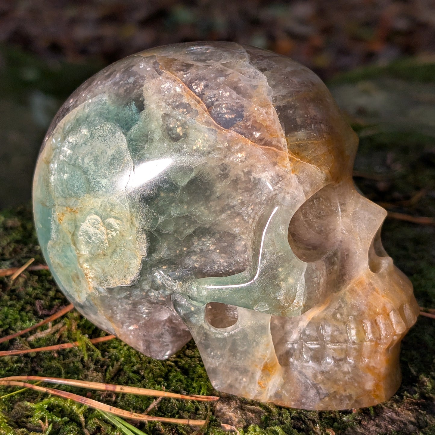 Großer Kristallschädel "Arduin" (1.6kg) aus Regenbogenfluorit mit grünen und goldenen Zonen, auf Moos liegend.