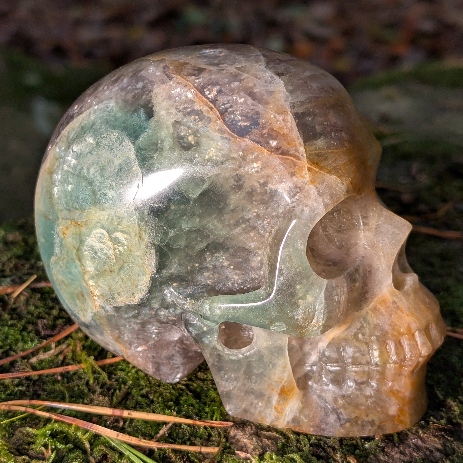 Großer Kristallschädel "Arduin" (1.6kg) aus Regenbogenfluorit mit grünen und goldenen Zonen, auf Moos liegend.